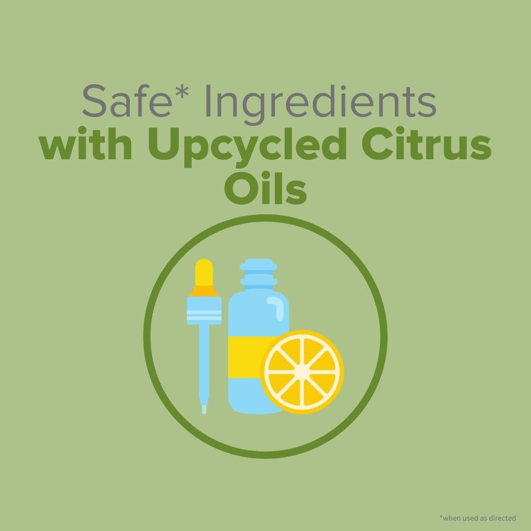 Spray Ambientador Citrus Magic 85g - Cítricos y Salvia, 3 Pzas