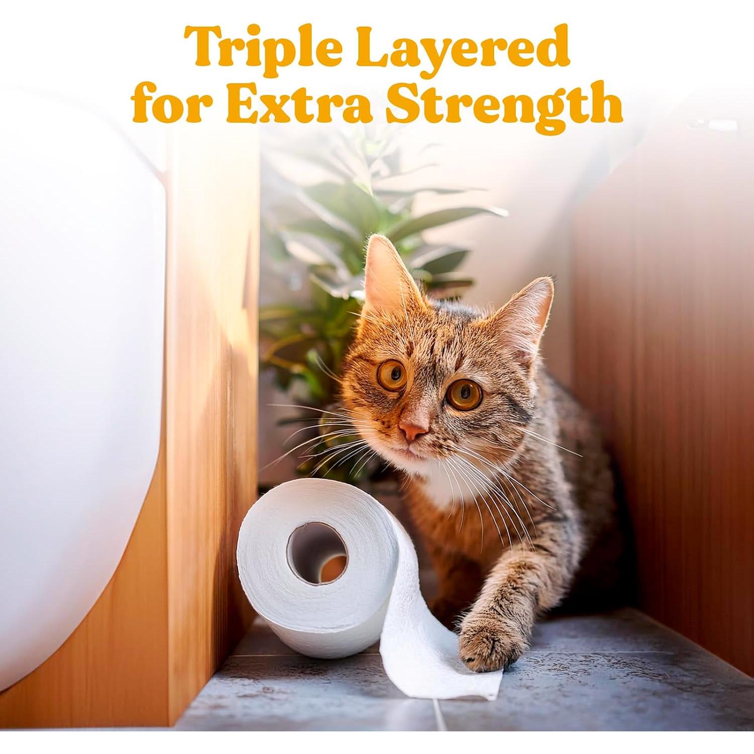 Papel Higiénico Orgánico ZENO 3 Capas 12 Rollos Jumbo 350 Hojas