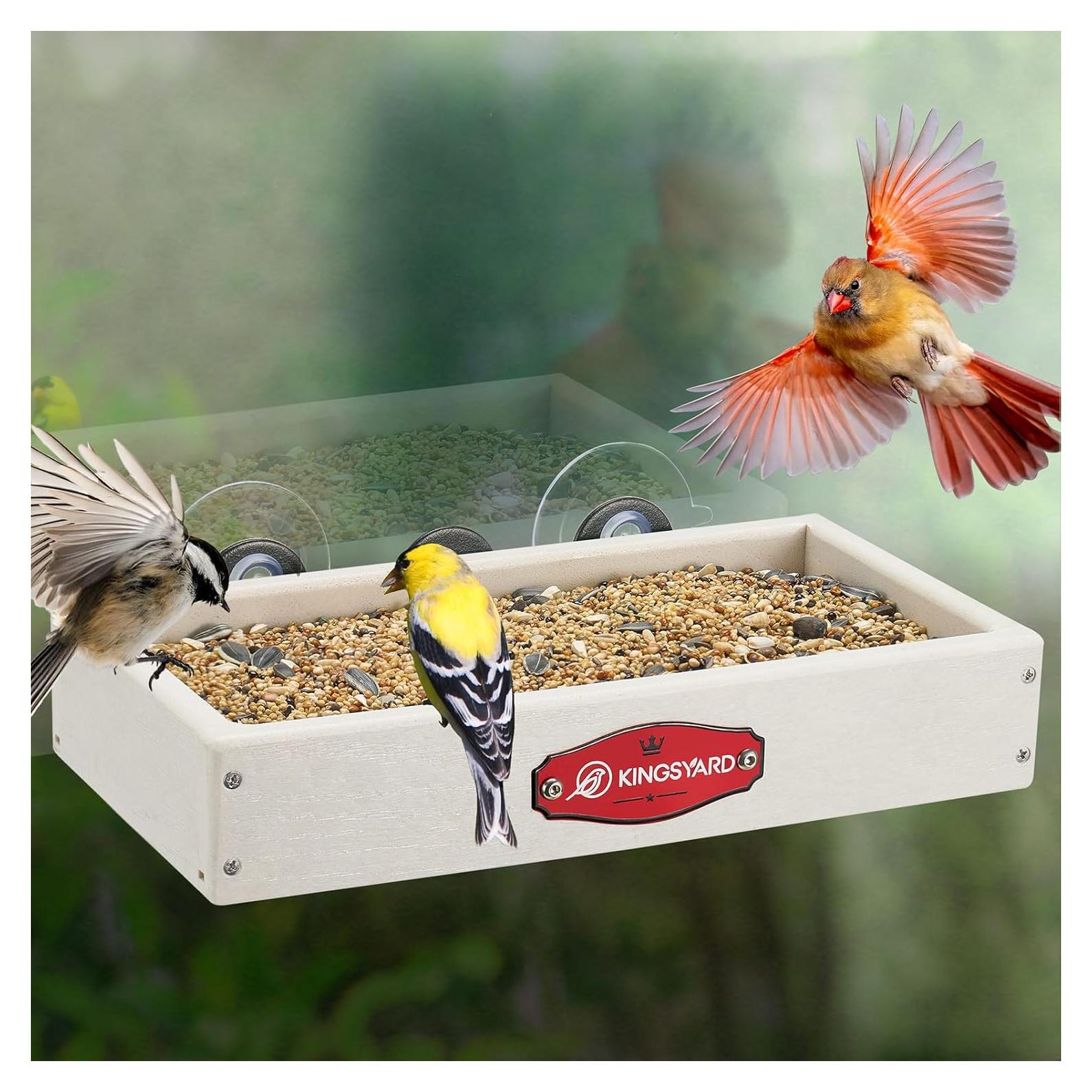 Comedero para Aves de Ventana Kingsyard con Ventosas, Blanco