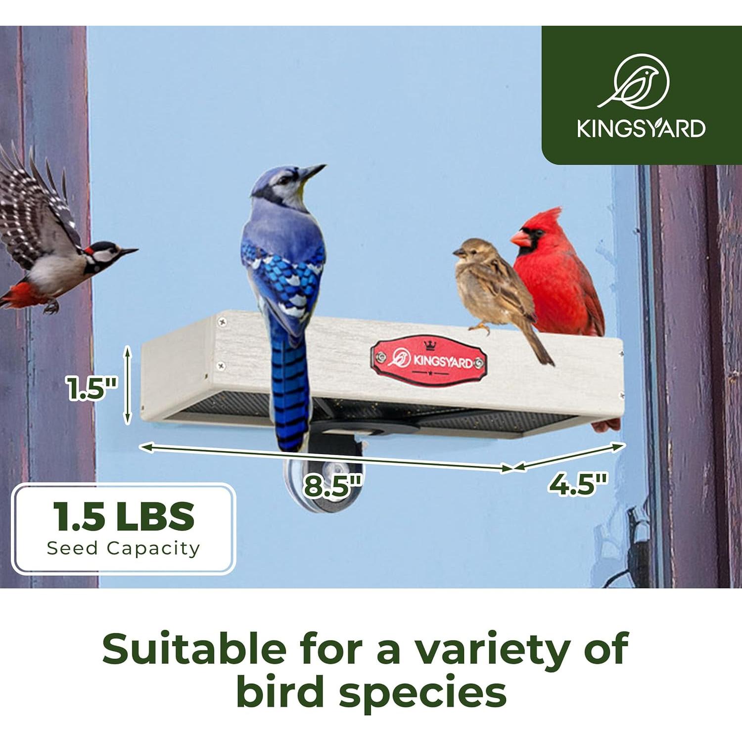 Comedero para Aves de Ventana Kingsyard con Ventosas, Blanco