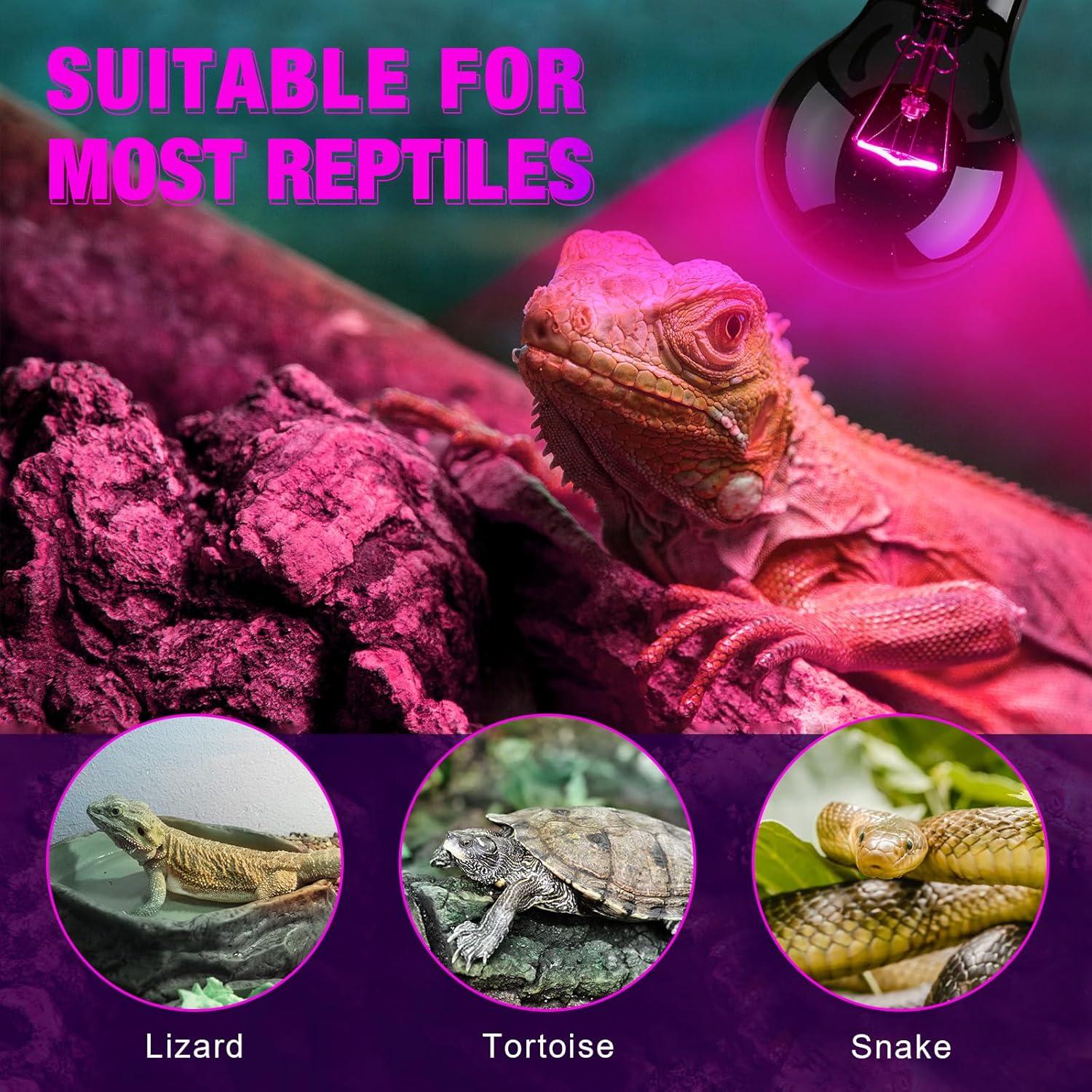 8 Bombillas de Calor Infrarrojo 100W para Reptiles Kittmip