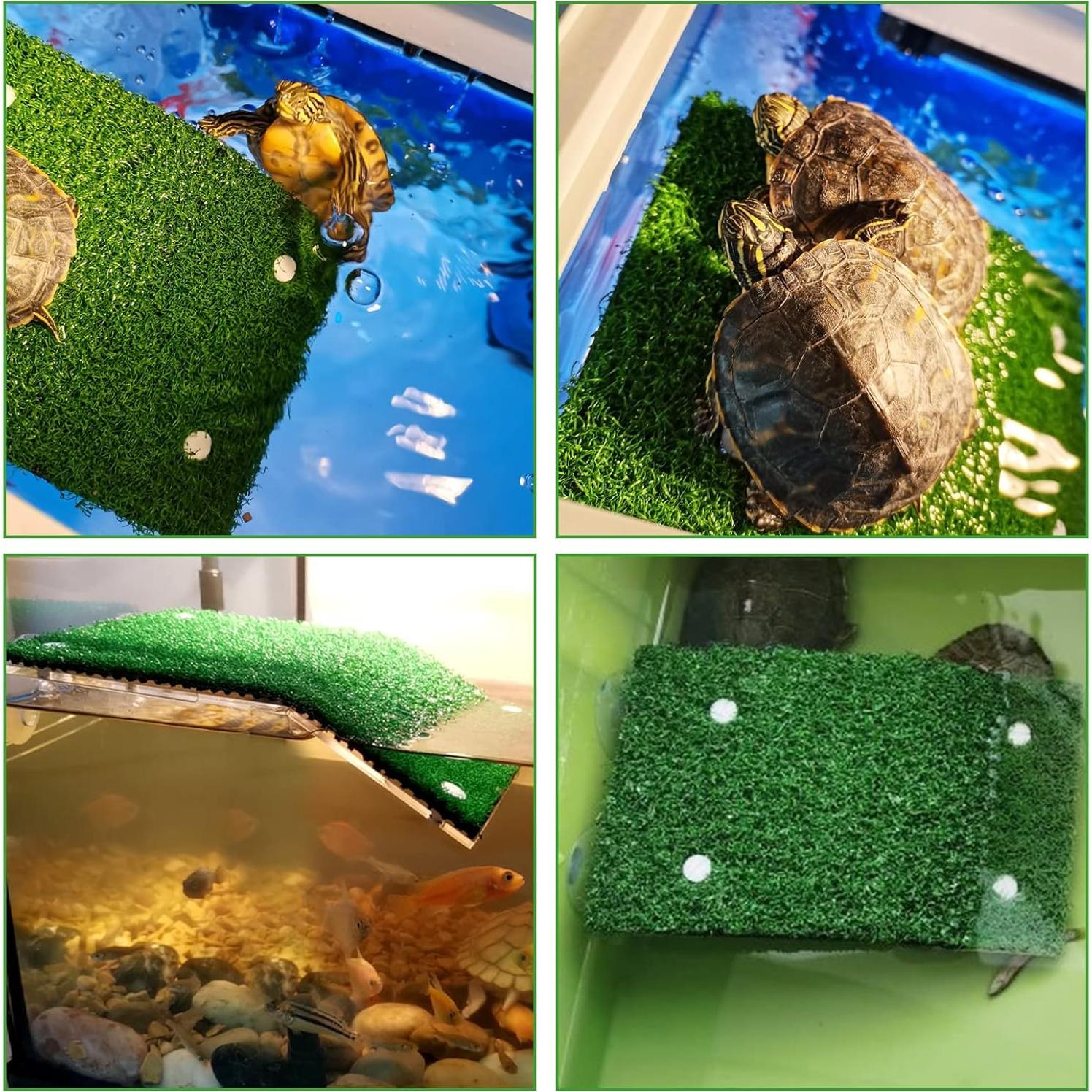 Plataforma de Sol para Tortugas Weaverbird con Césped 12x20cm