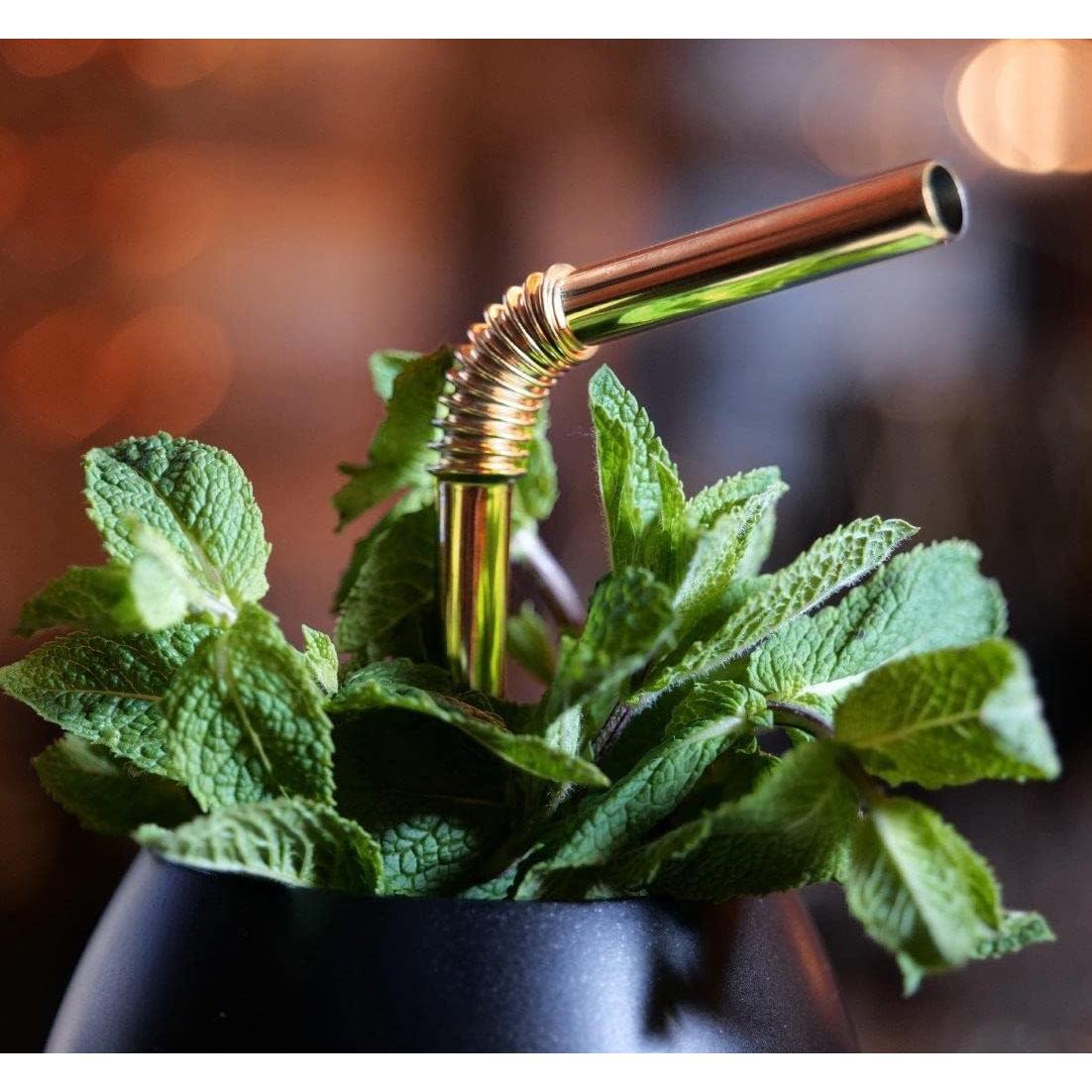 Popotes Flexibles de Acero Inoxidable HalmBrüder - Set de 8 Oro