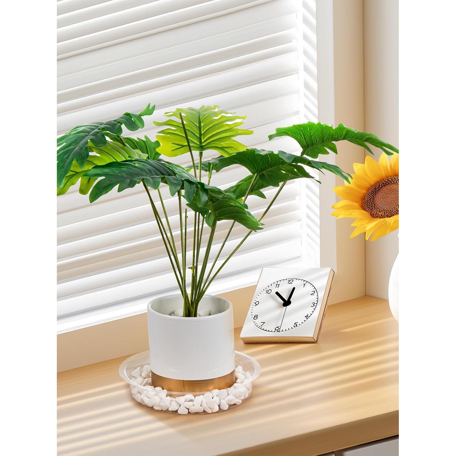 Platillos Transparentes para Macetas GROWNEER 15cm - 15 Pcs