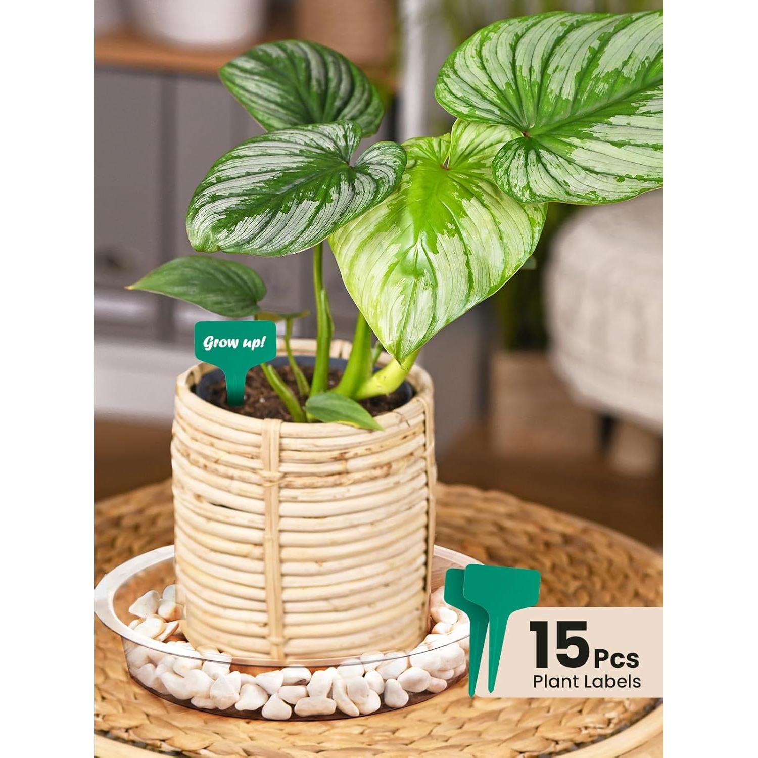 Platillos Transparentes para Macetas GROWNEER 15cm - 15 Pcs