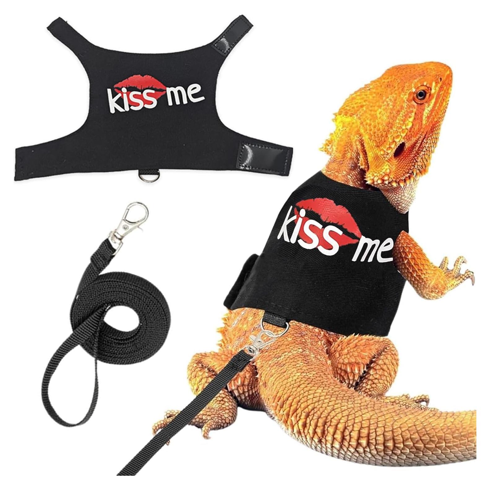 Arnés Ajustable y Correa 1.45m para Dragón Barbudo Agamino