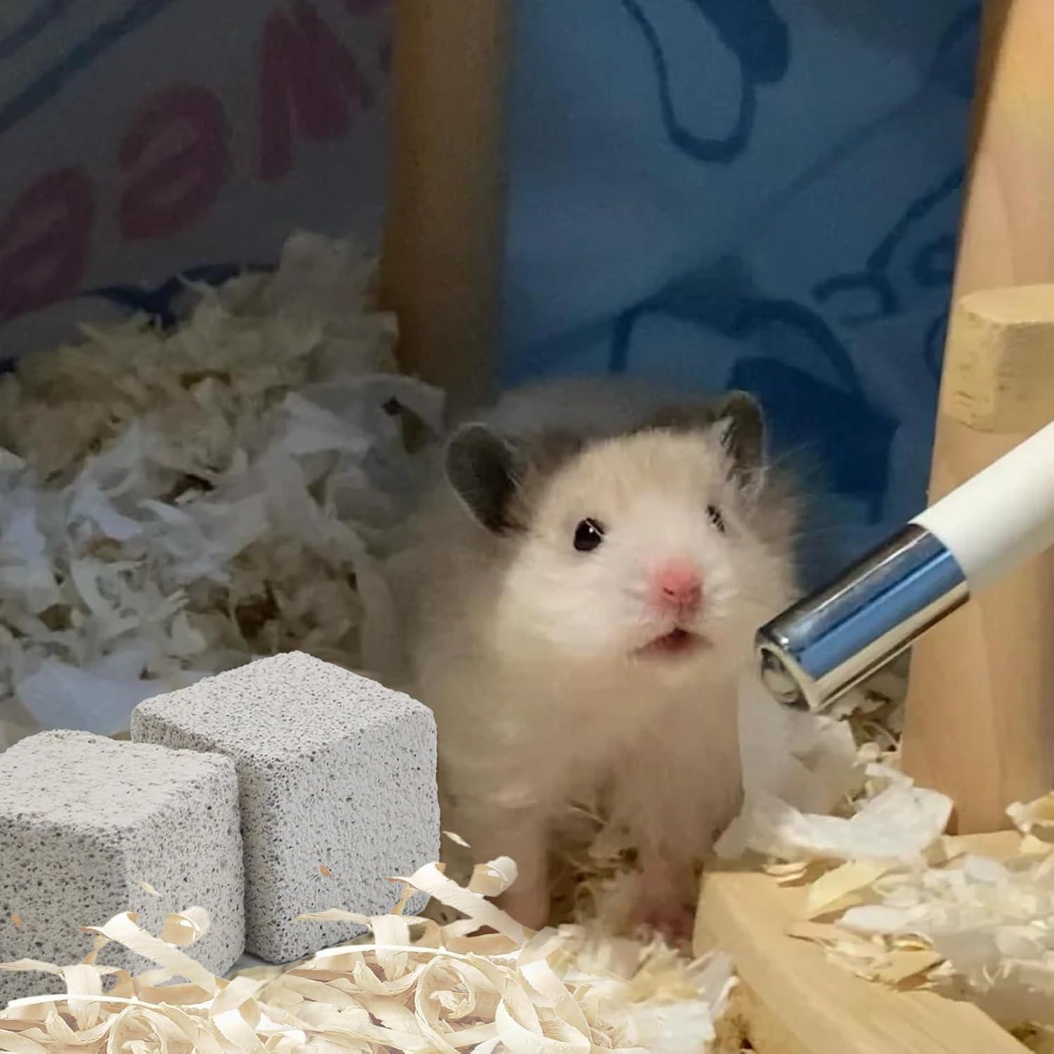 Bloques de Lava para Hámster PINVNBY - 9 Piezas, Masticar y Salud Dental