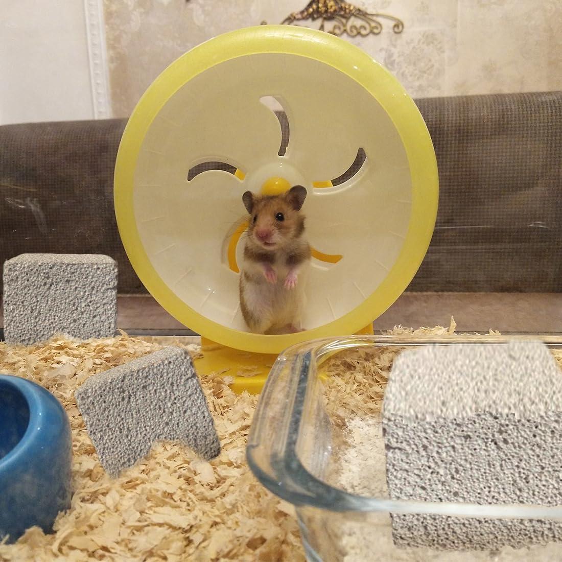 Bloques de Lava para Hámster PINVNBY - 9 Piezas, Masticar y Salud Dental