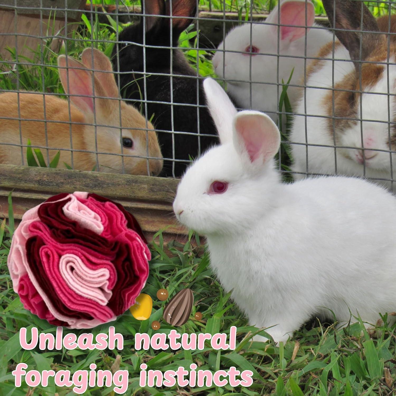 Bola de golosinas para conejos Homedy Crafts Rosa 8.13cm