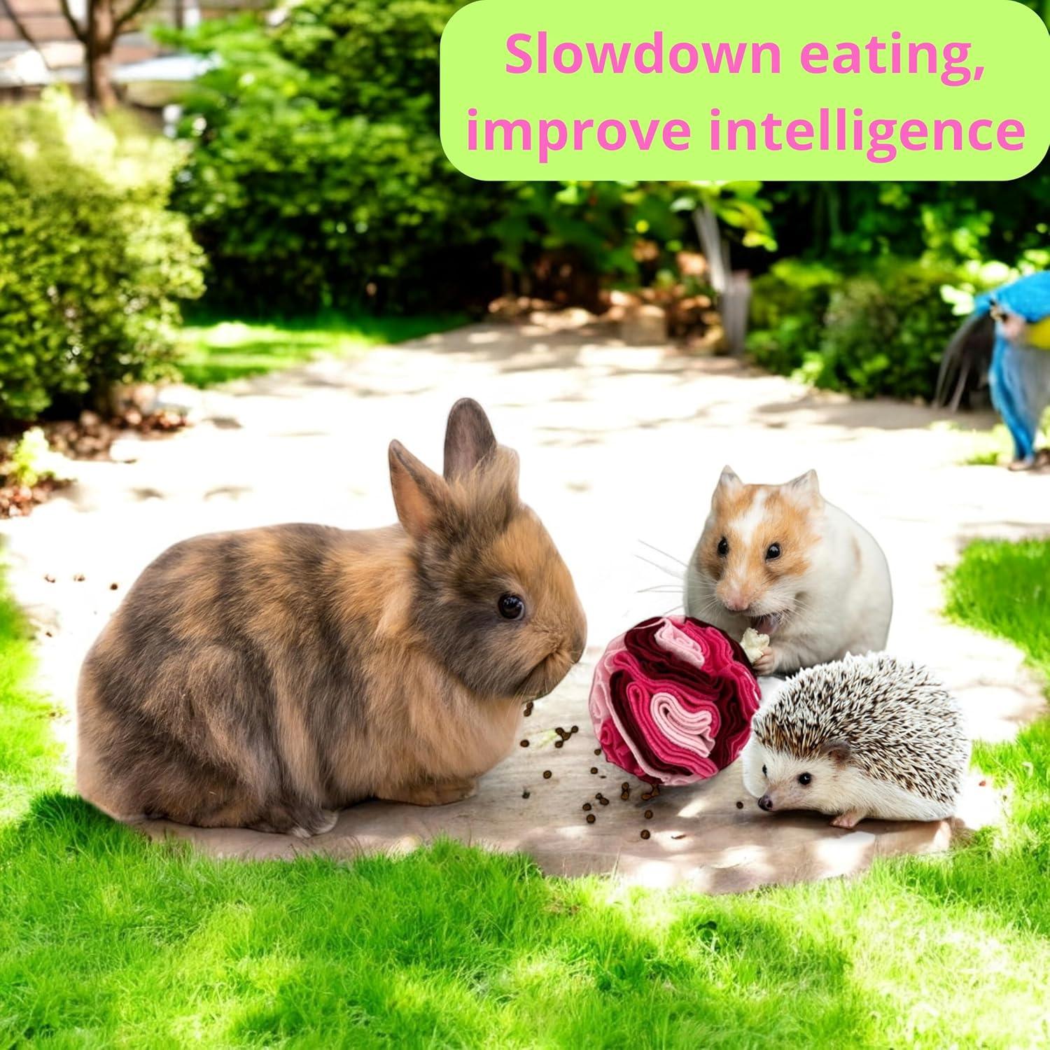 Bola de golosinas para conejos Homedy Crafts Rosa 8.13cm