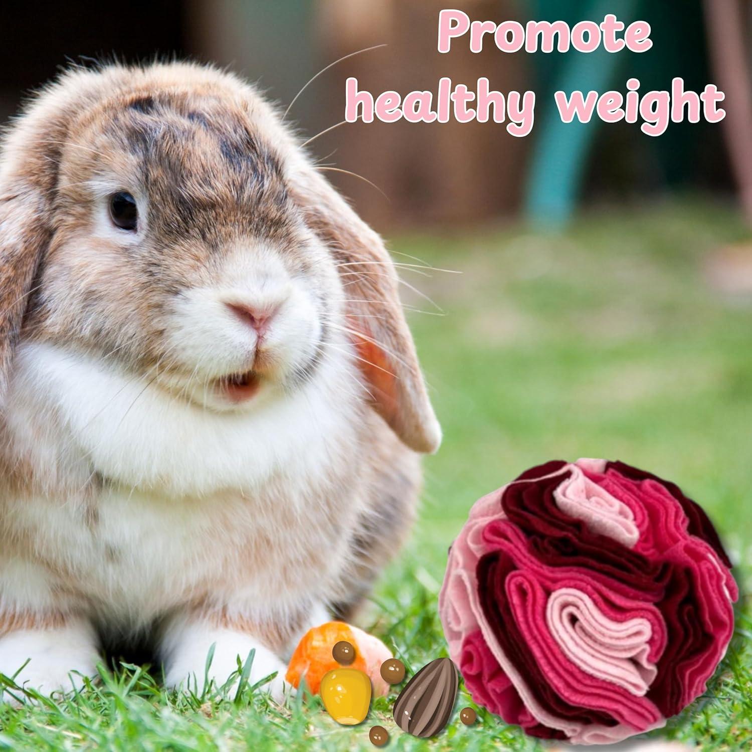 Bola de golosinas para conejos Homedy Crafts Rosa 8.13cm