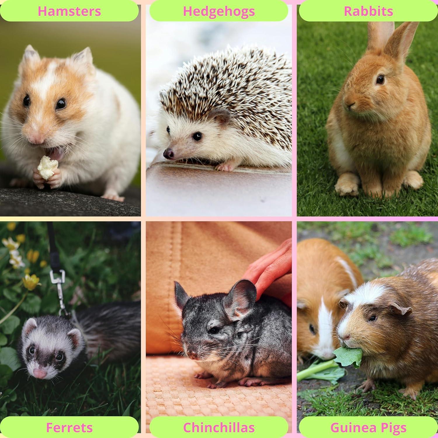 Bola de golosinas para conejos Homedy Crafts Rosa 8.13cm