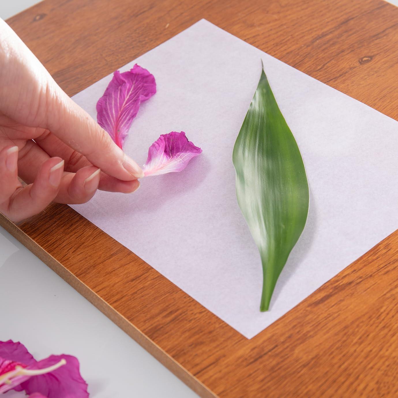 Papel Absorbente A5 CenterZ 60 Hojas Reutilizable para Flores