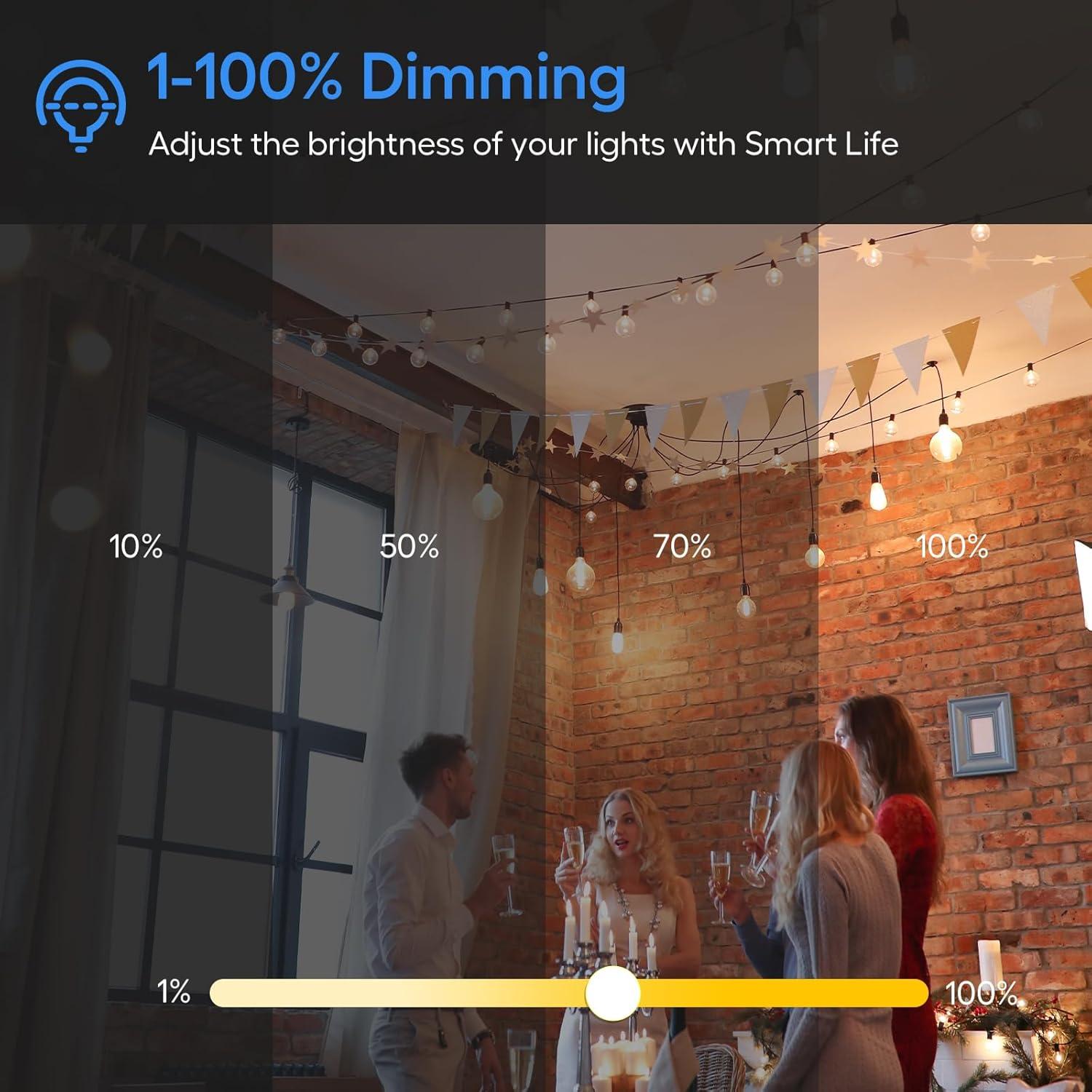 Enchufe Regulador Inteligente Eva IP65 WiFi 400W Negro