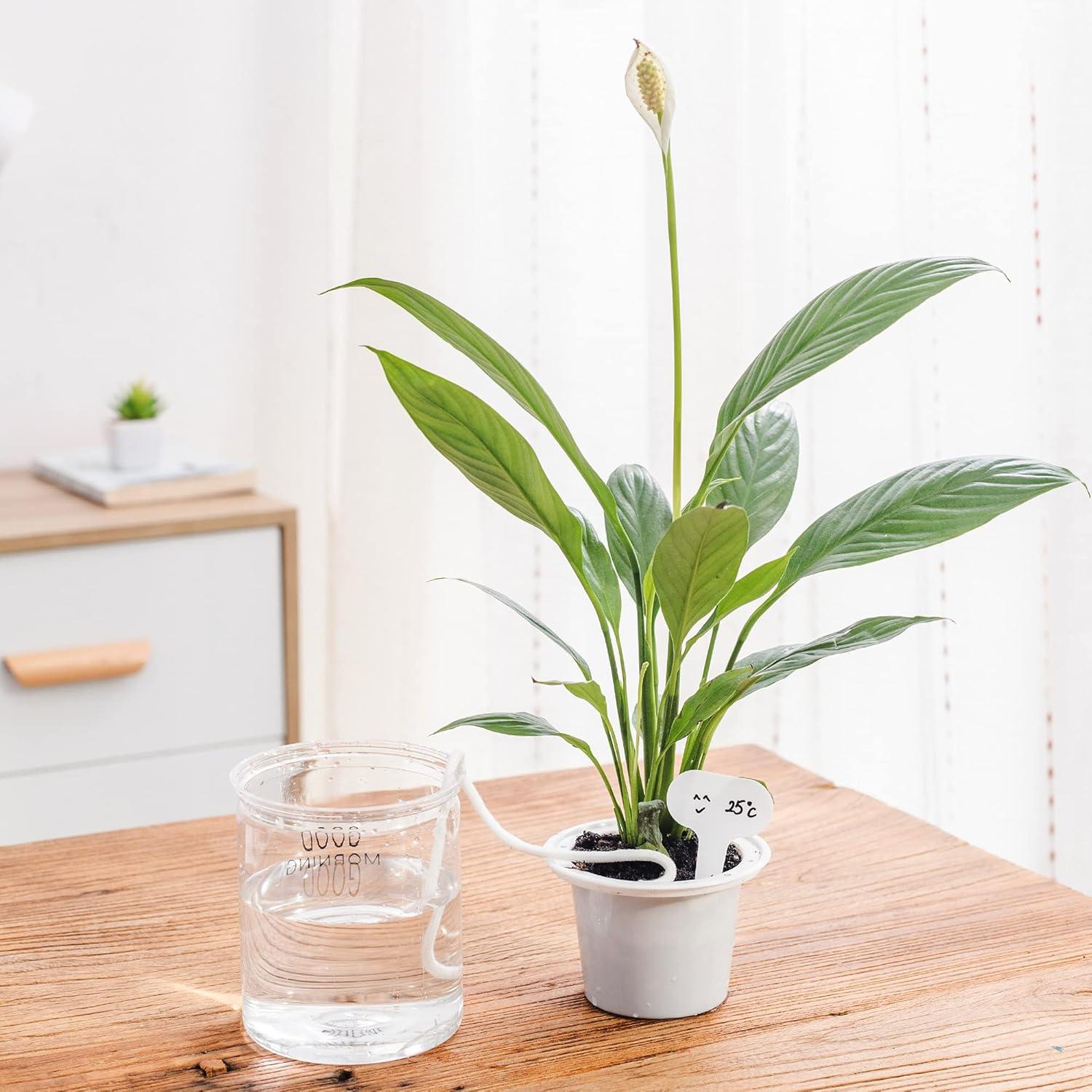 Cuerda de Riego Automático ORIMERC 9.14m + 30 Etiquetas 5x7cm