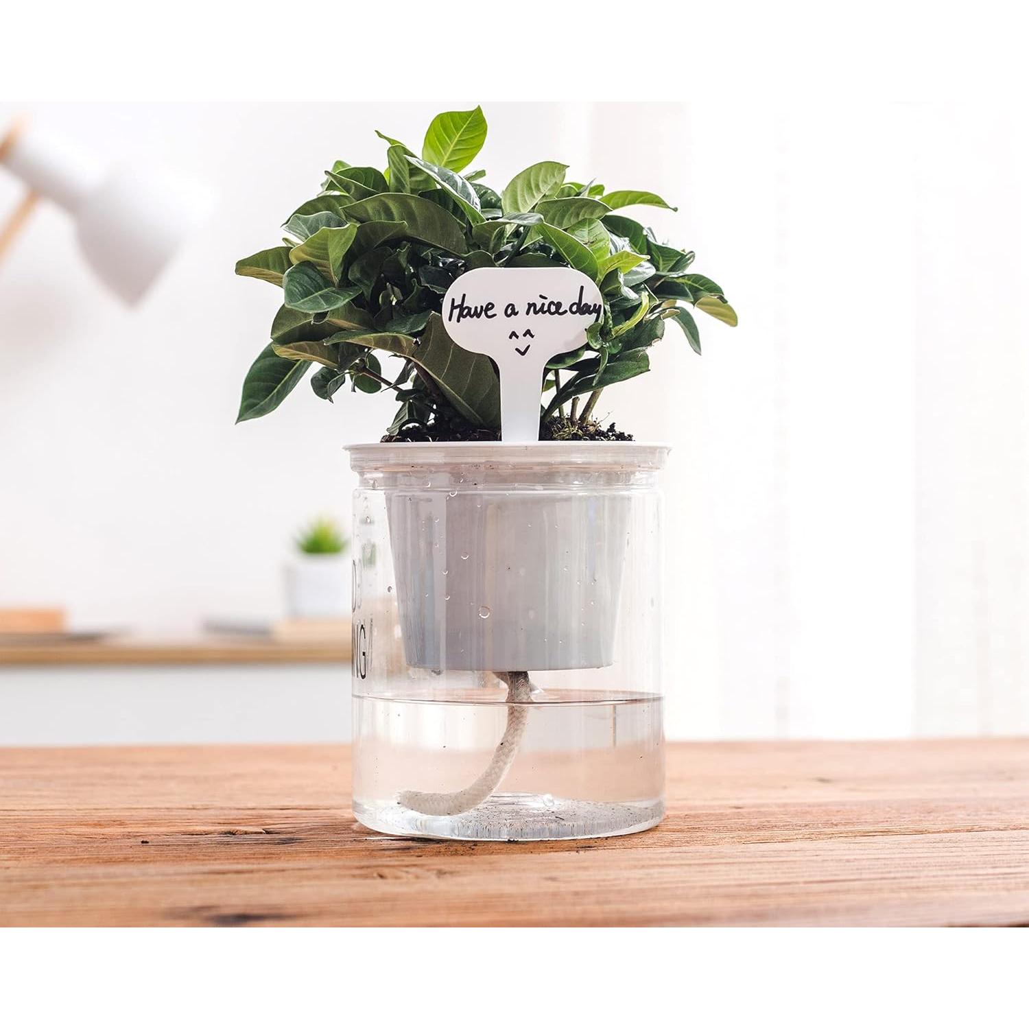 Cuerda de Riego Automático ORIMERC 9.14m + 30 Etiquetas 5x7cm