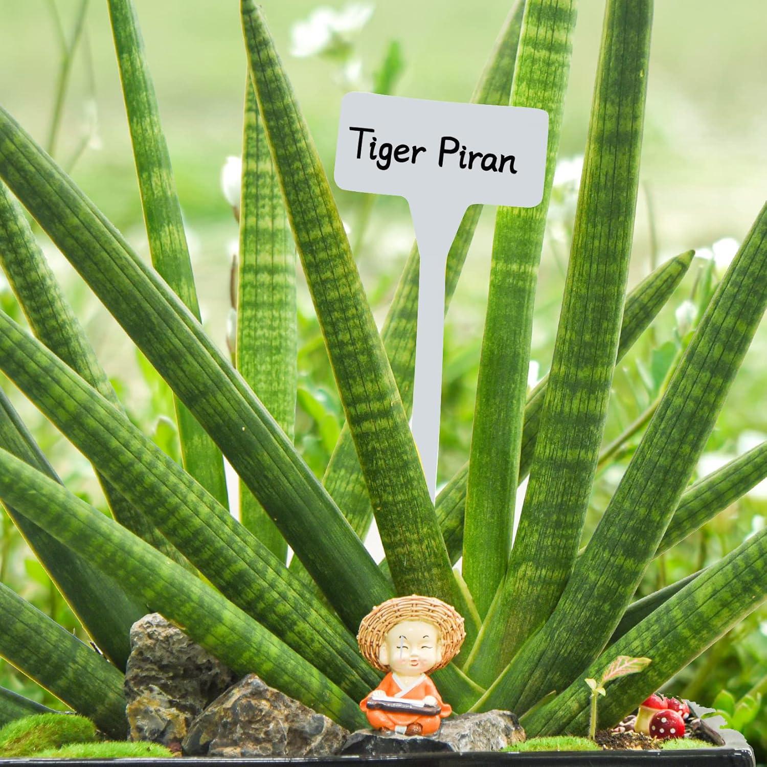 Etiquetas de Planta HOVEOX 24 Pcs Plástico Blanco 30.48 cm