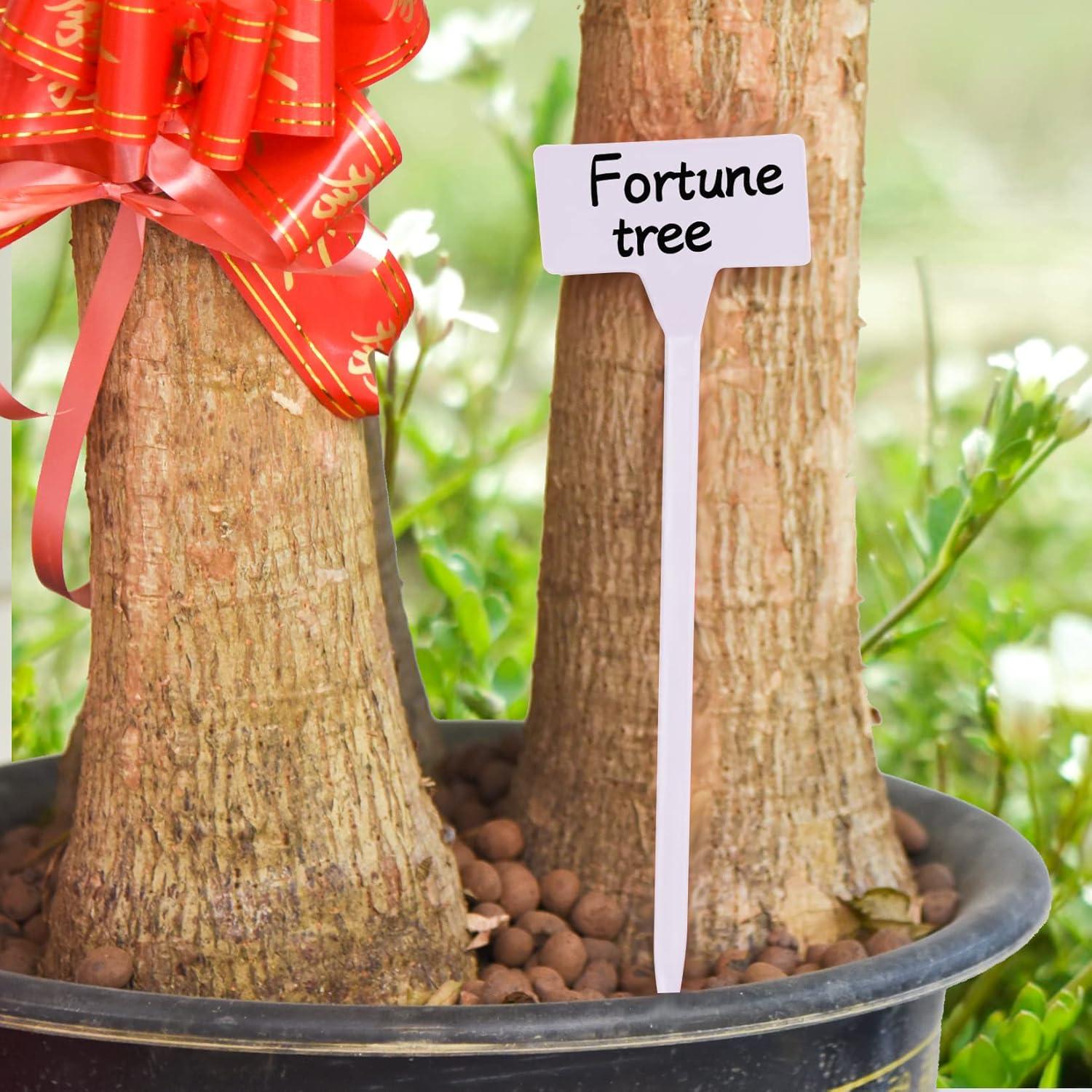 Etiquetas de Planta HOVEOX 24 Pcs Plástico Blanco 30.48 cm