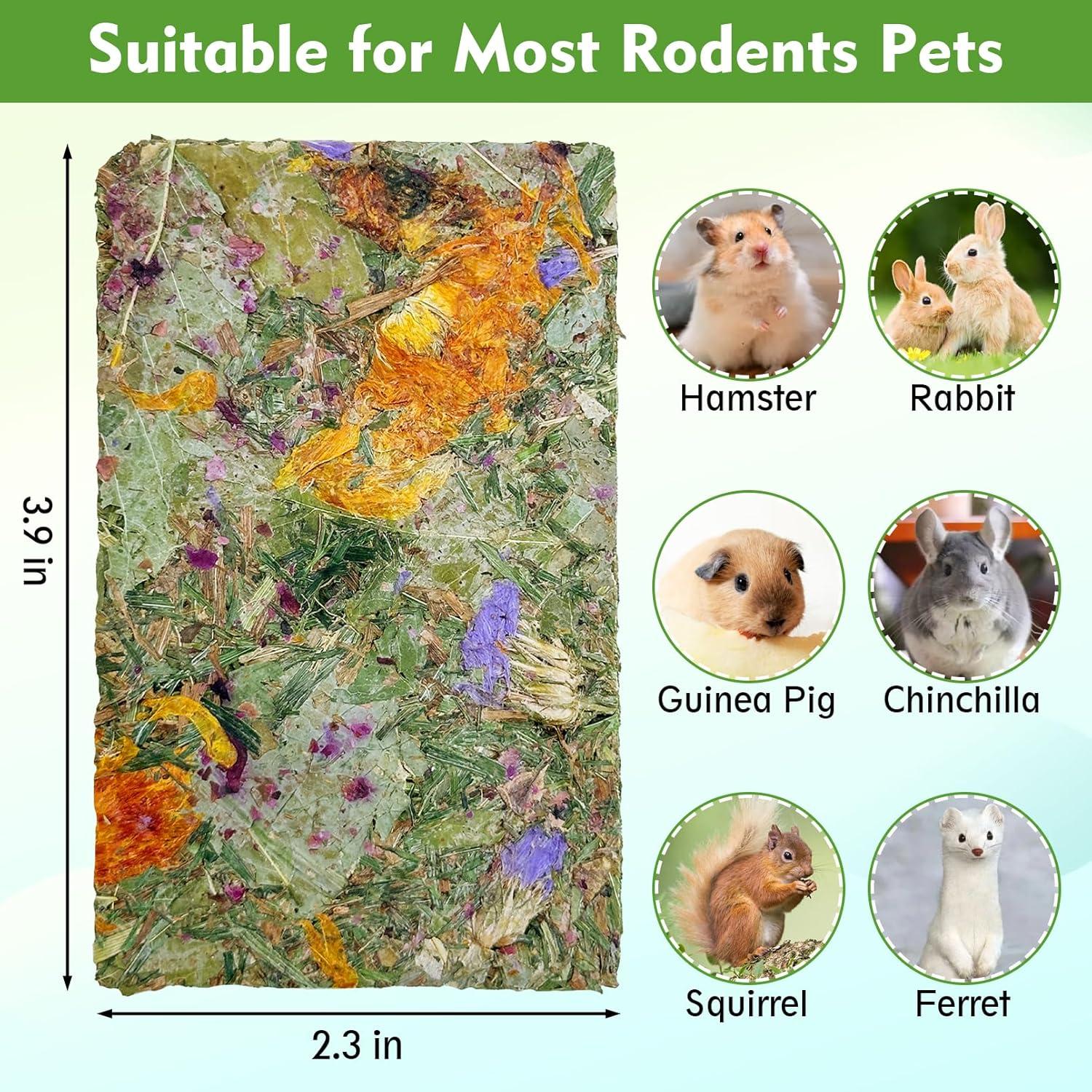 Chips de Heno Masticables Fhiny 12 PCS para Conejos y Roedores