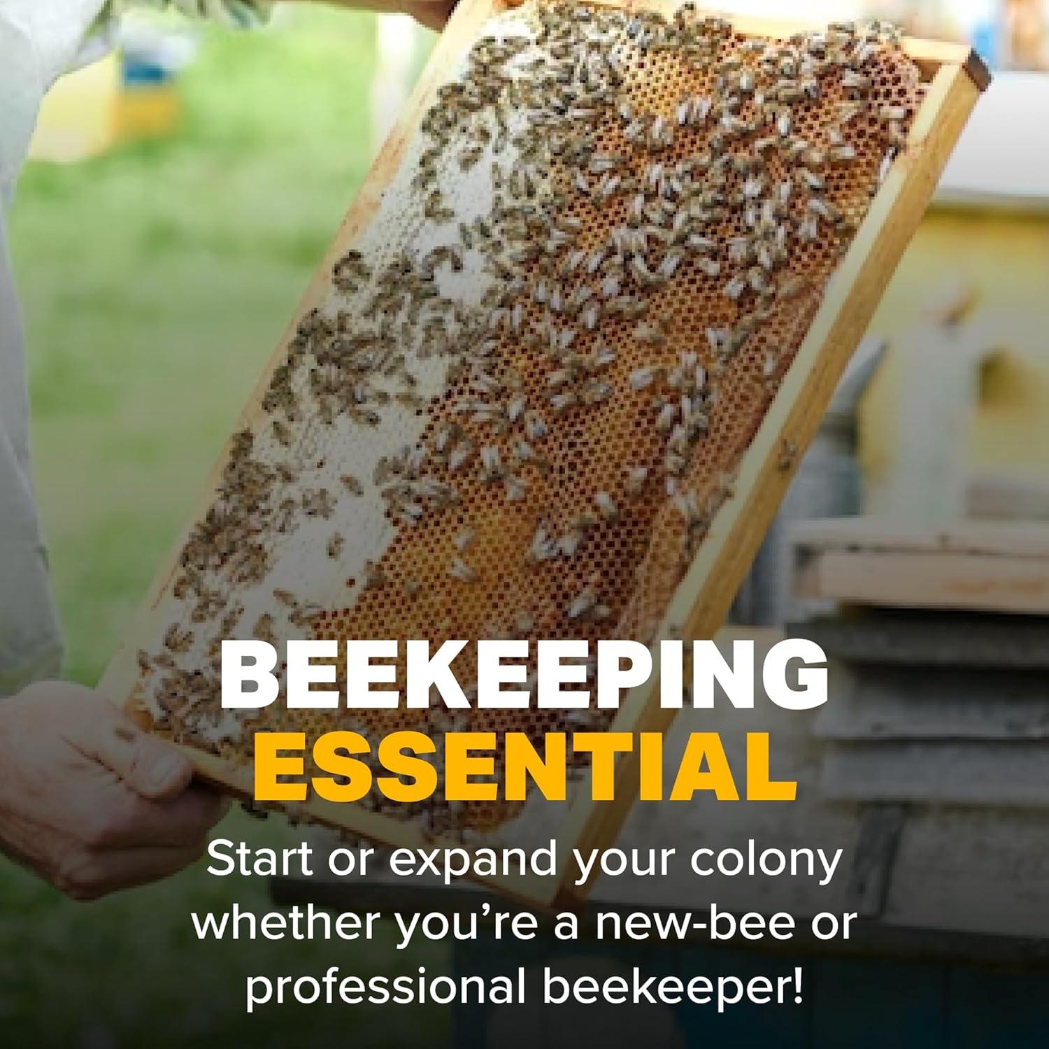 Sustituto de Polen Mann Lake FD203 0.45 Kg Alto en Proteínas