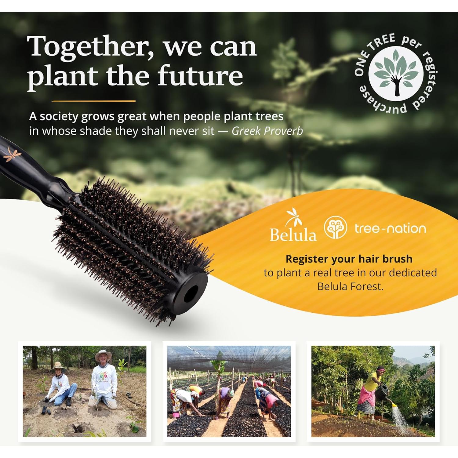 Cepillo Redondo de Cerda de Jabalí Belula 5.08 cm con Clips