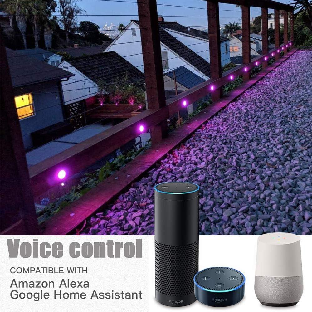 FVTLED Kit de 20 Luces LED RGBW WiFi 12V para Jardín y Escalera