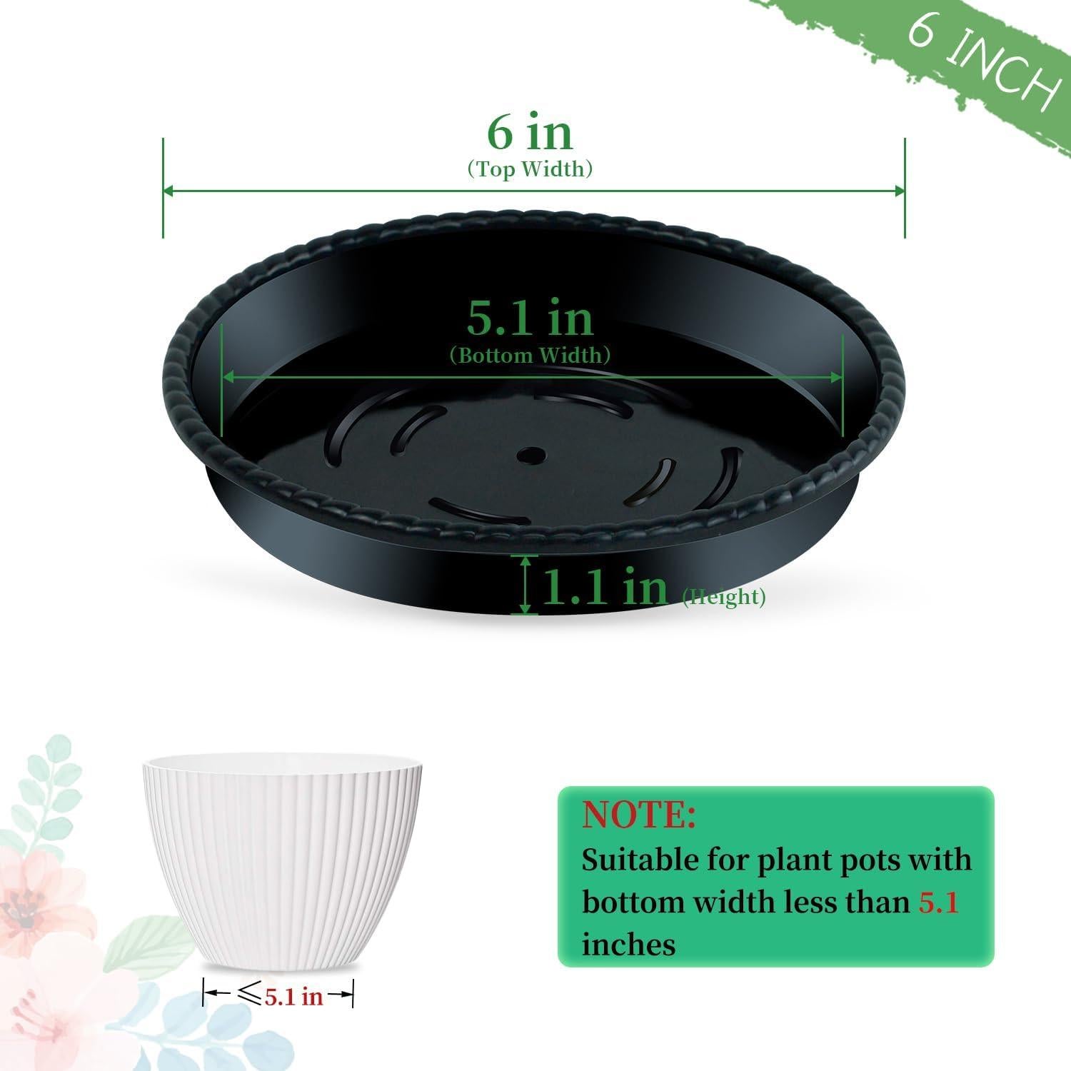 Bandejas de Goteo para Macetas SupKing 15.24 cm Negras - 6 Piezas