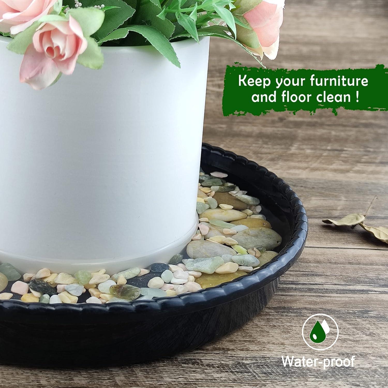 Bandejas de Goteo para Macetas SupKing 15.24 cm Negras - 6 Piezas