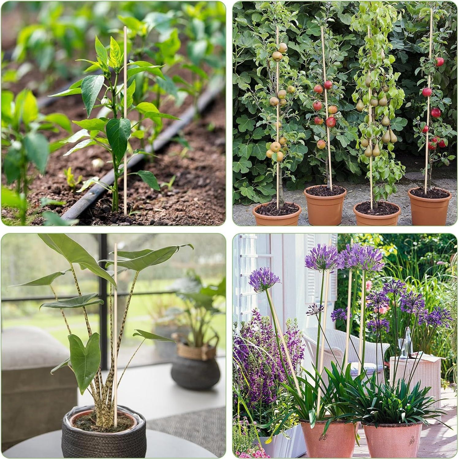 Estacas de Bambú para Jardinería 45.72 cm - 40 PCS