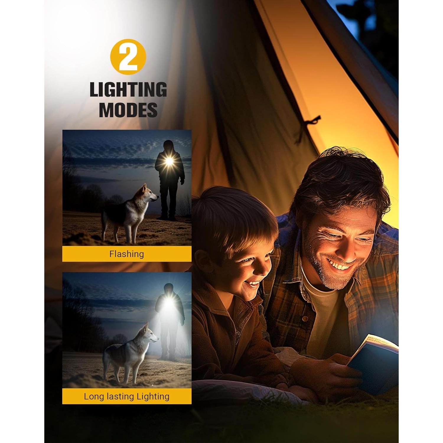 Cargador USB Portátil Dewalt 20V con Luz LED y Tipo-C