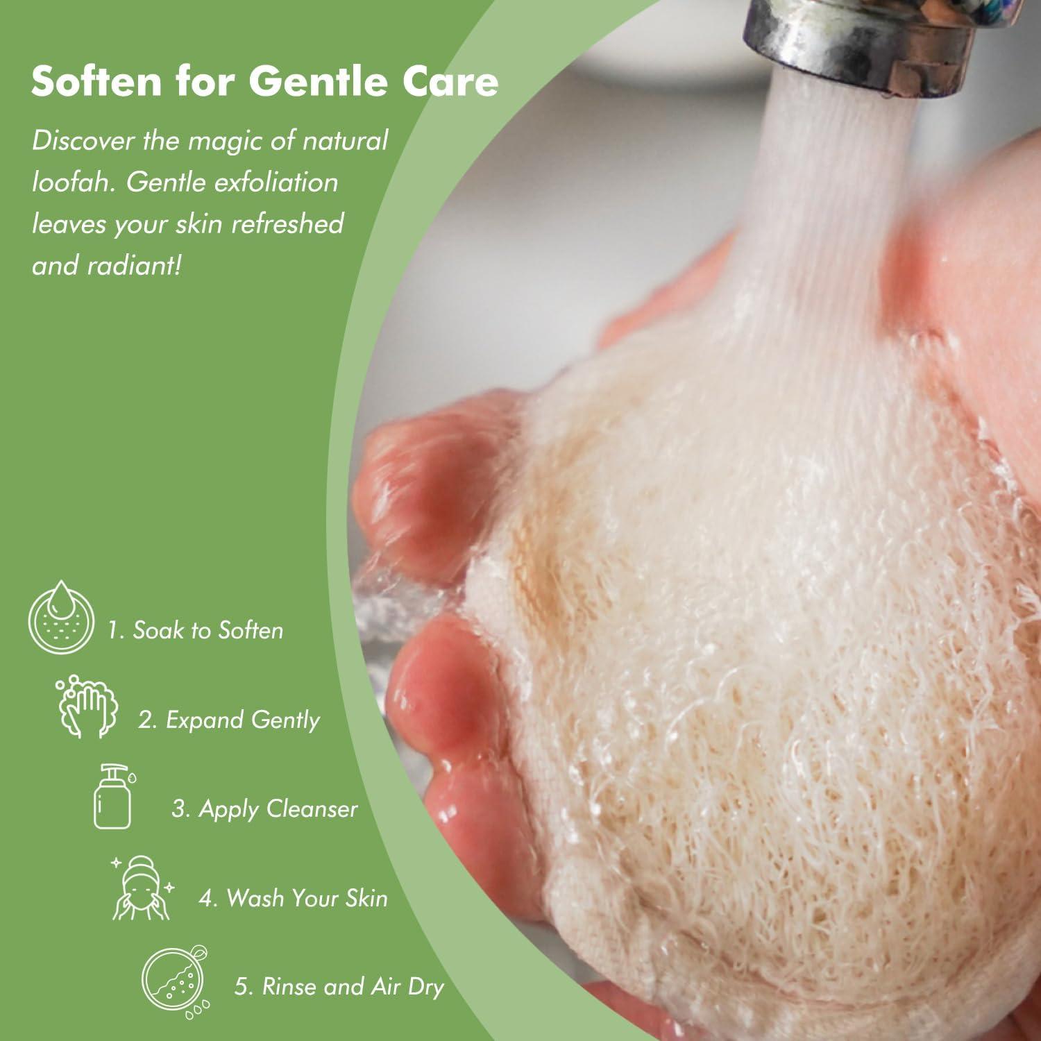 Paquete de 12 Esponjas Exfoliantes de Lufa Natural 8cm