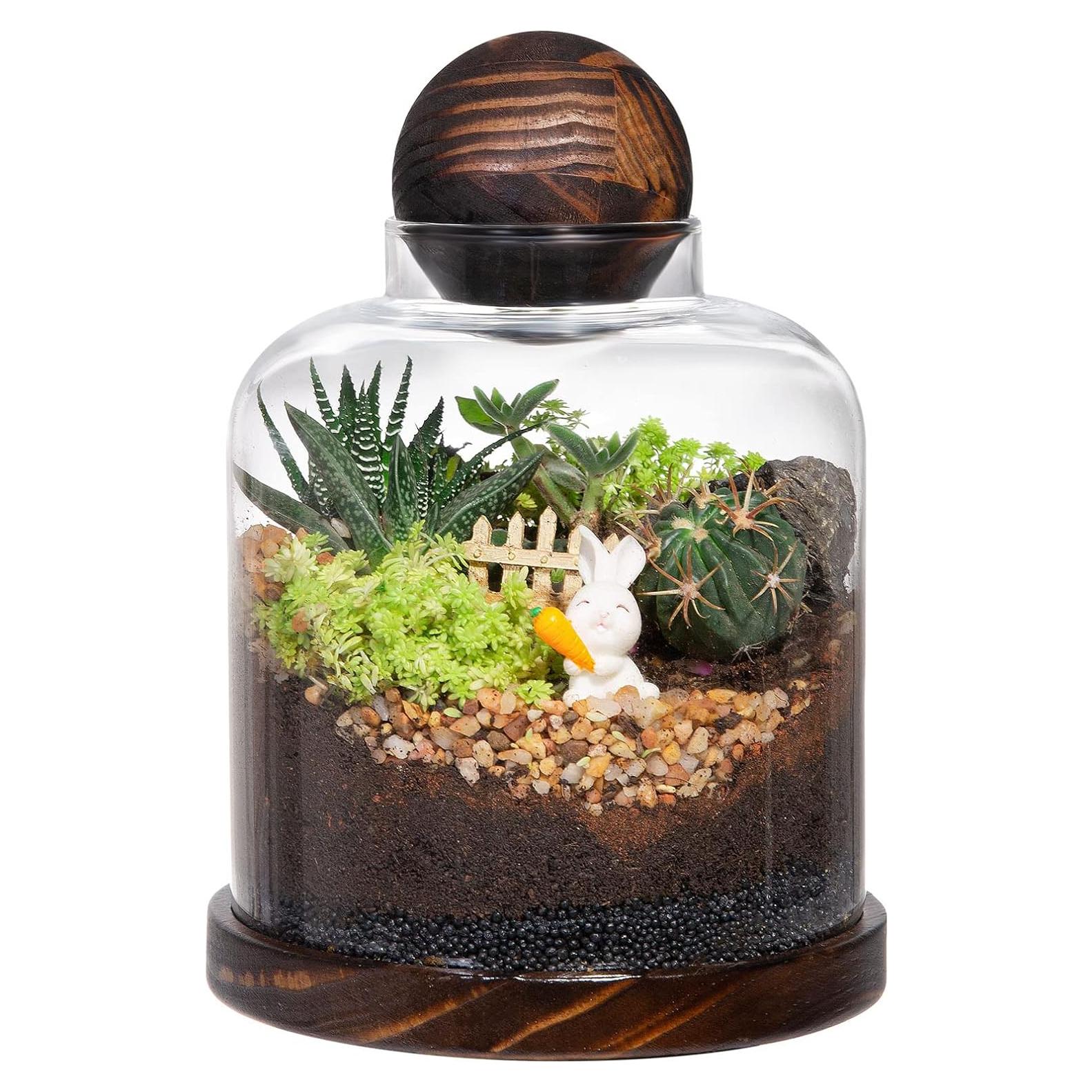 Terrario de Vidrio Grande Yangbaga para Suculentas y Acuario