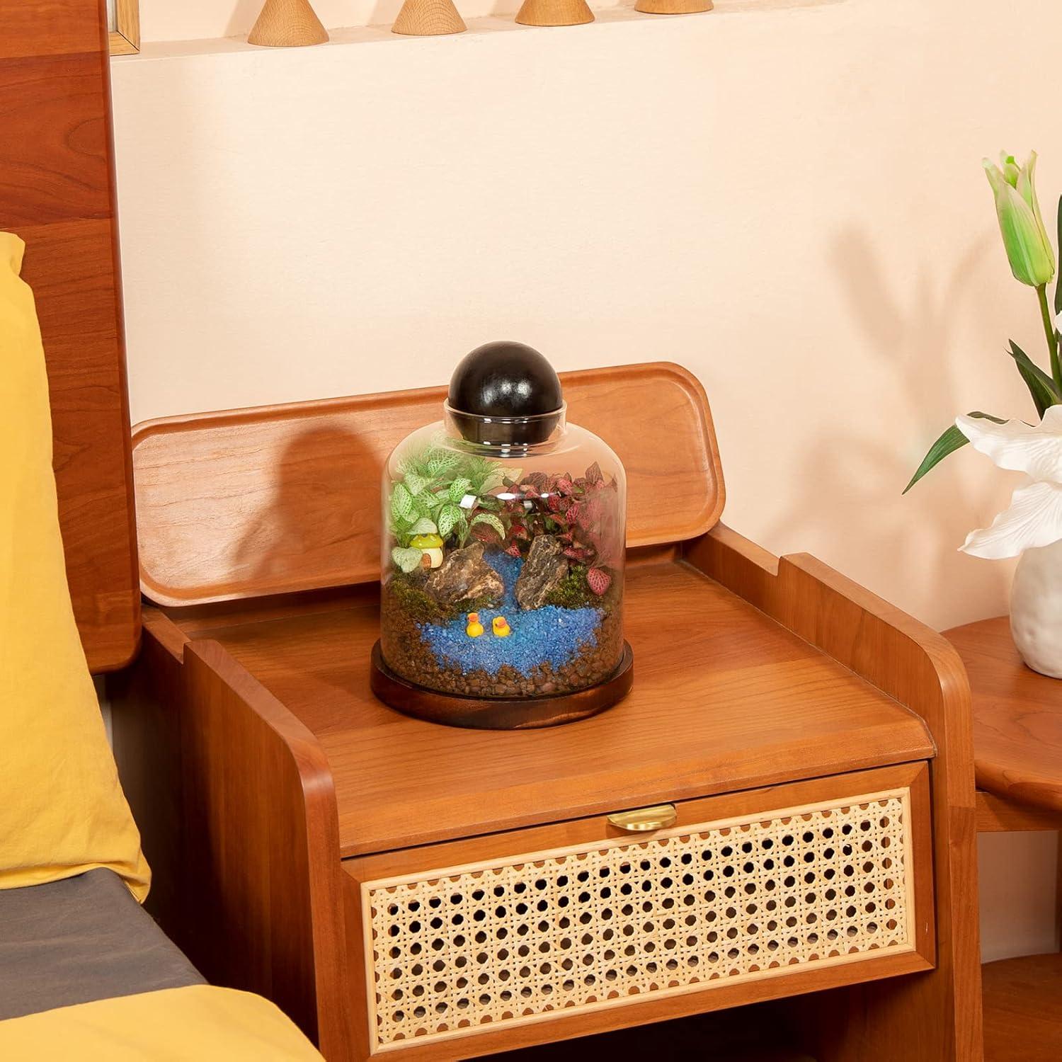 Terrario de Vidrio Grande Yangbaga para Suculentas y Acuario