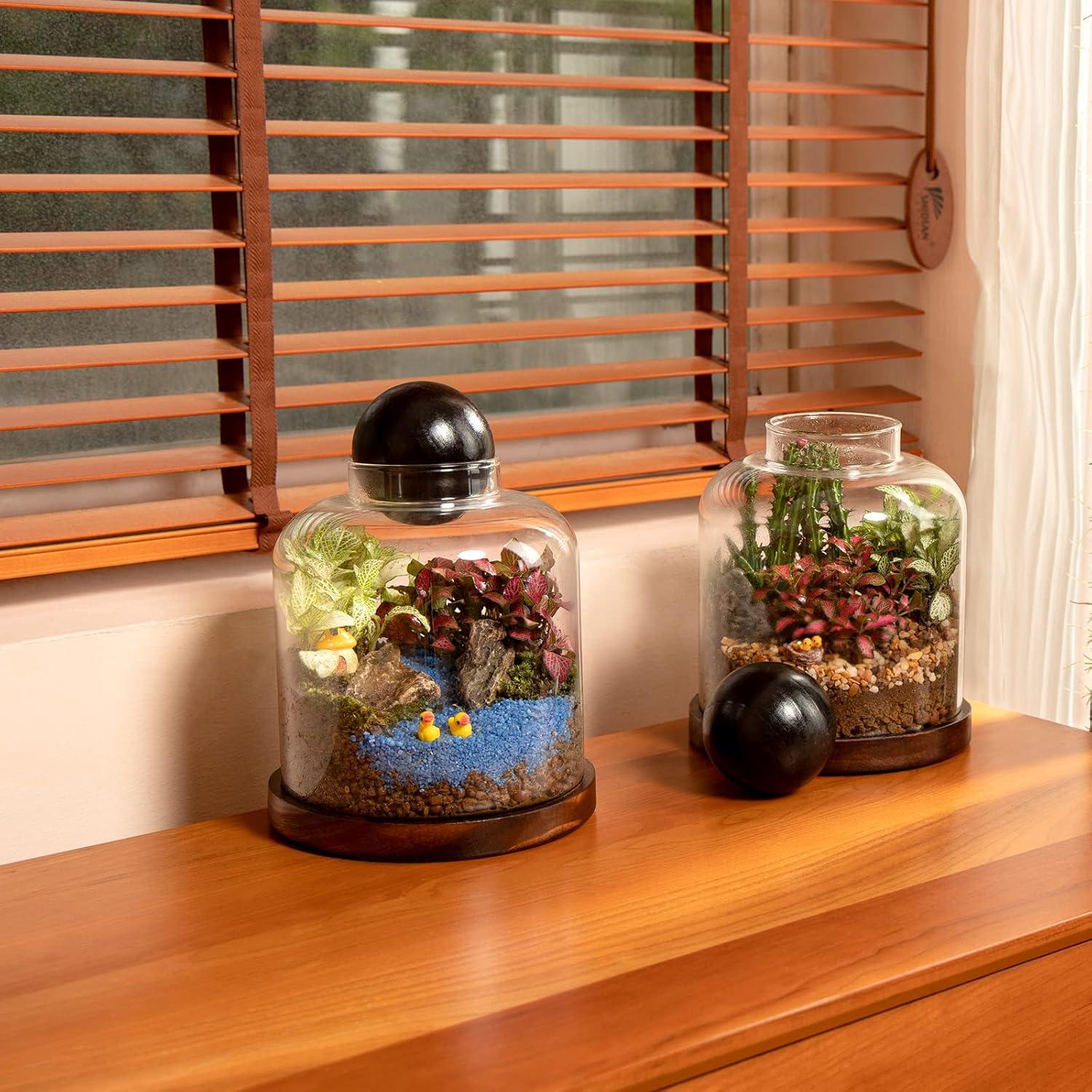 Terrario de Vidrio Grande Yangbaga para Suculentas y Acuario