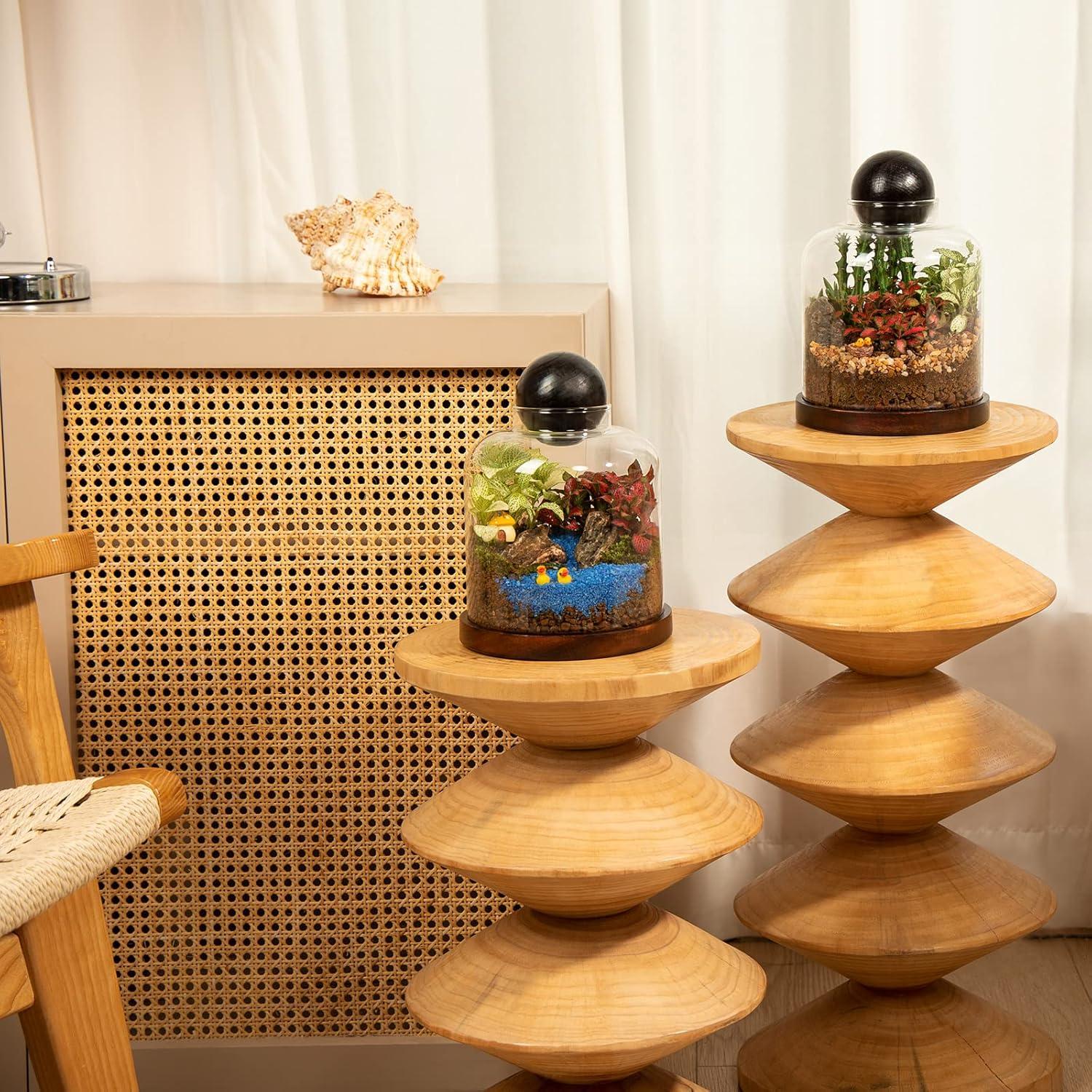 Terrario de Vidrio Grande Yangbaga para Suculentas y Acuario