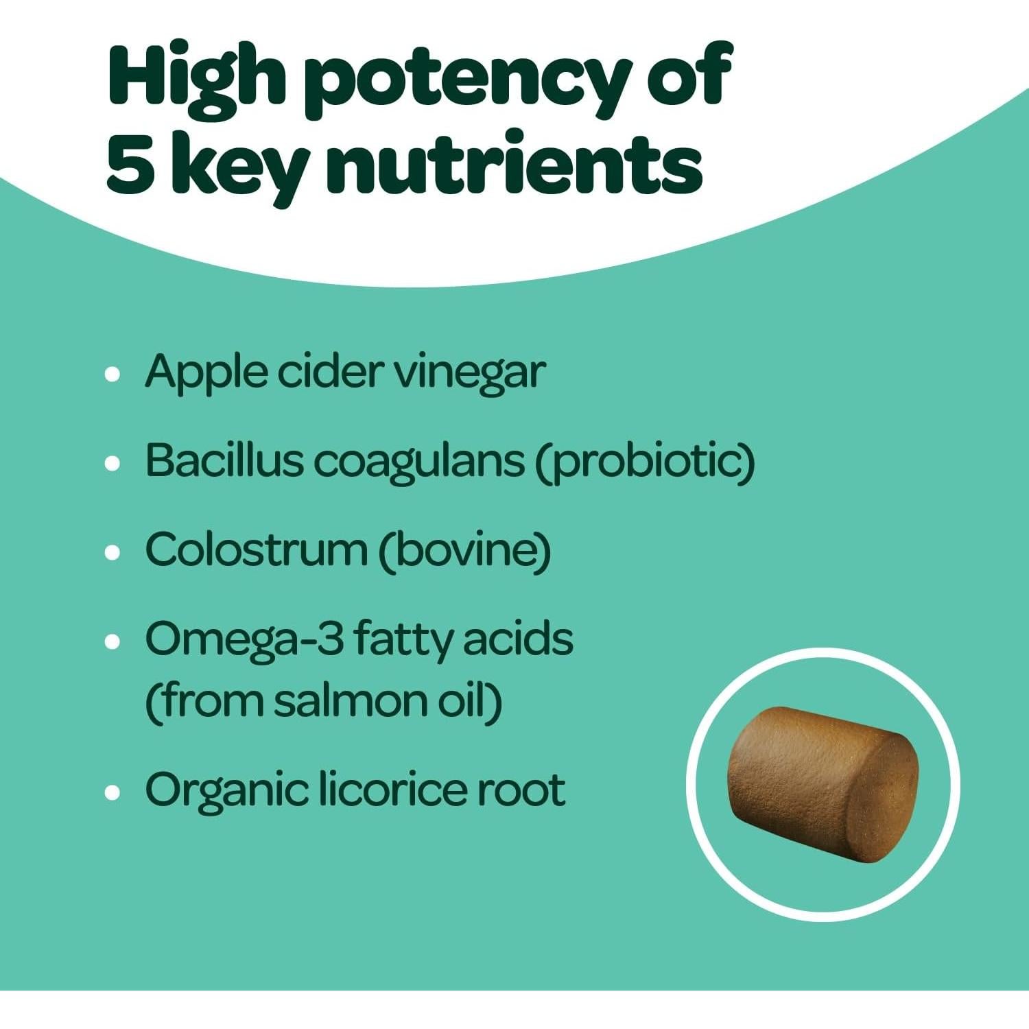 Masticables para Alergias en Perros Ready Pet Go 60 Unidades