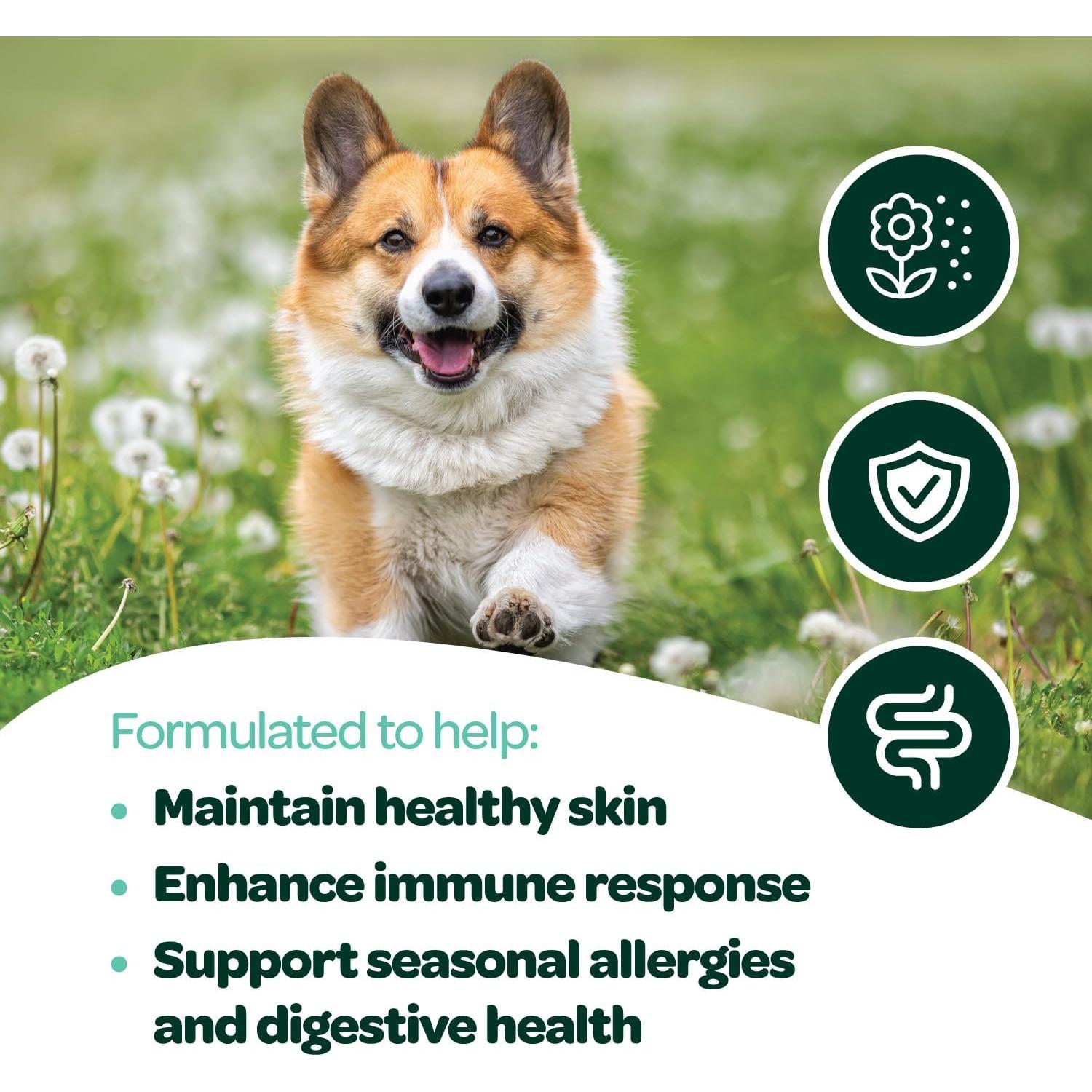 Masticables para Alergias en Perros Ready Pet Go 60 Unidades