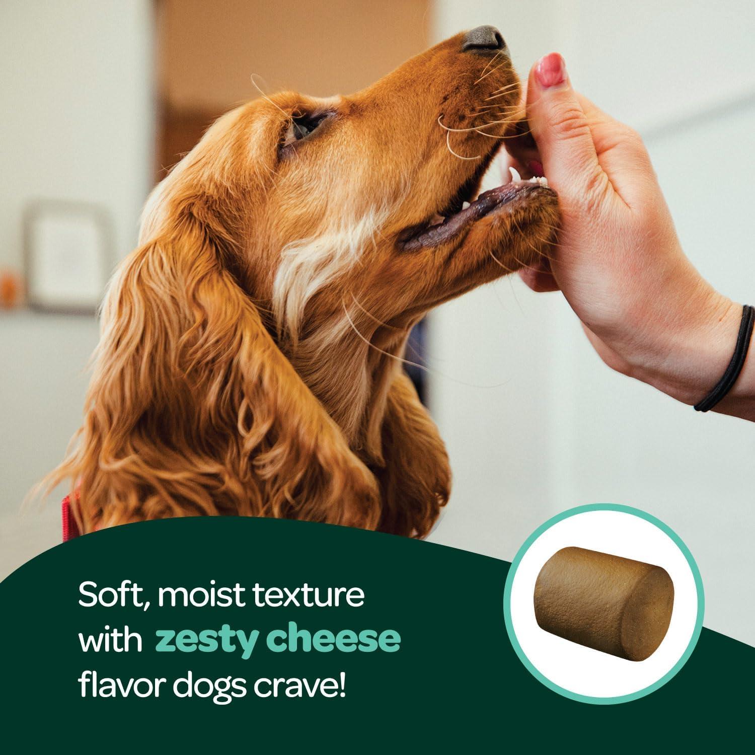 Masticables para Alergias en Perros Ready Pet Go 60 Unidades