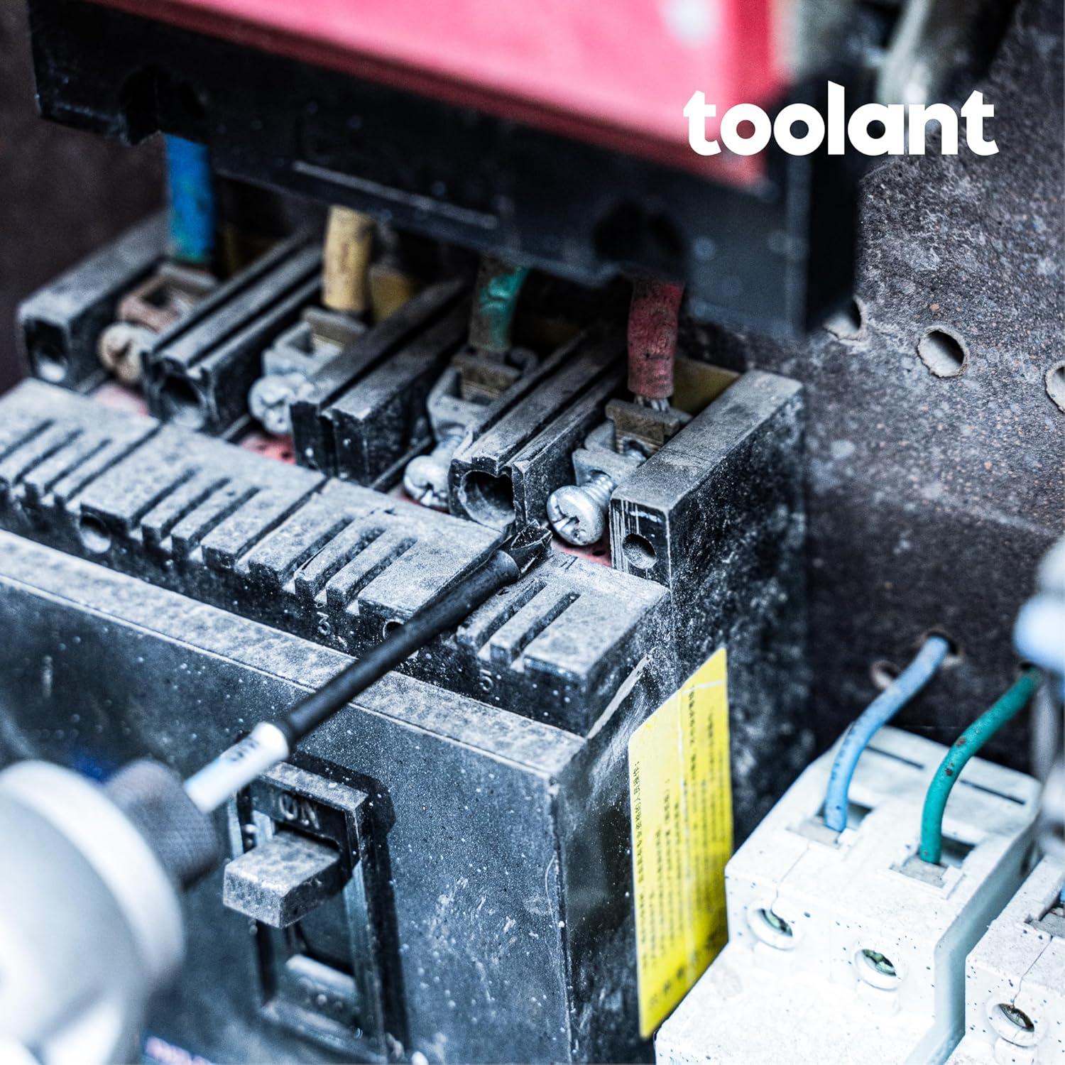 Juego de Puntas de Destornillador Toolant 7 Piezas Acero S2