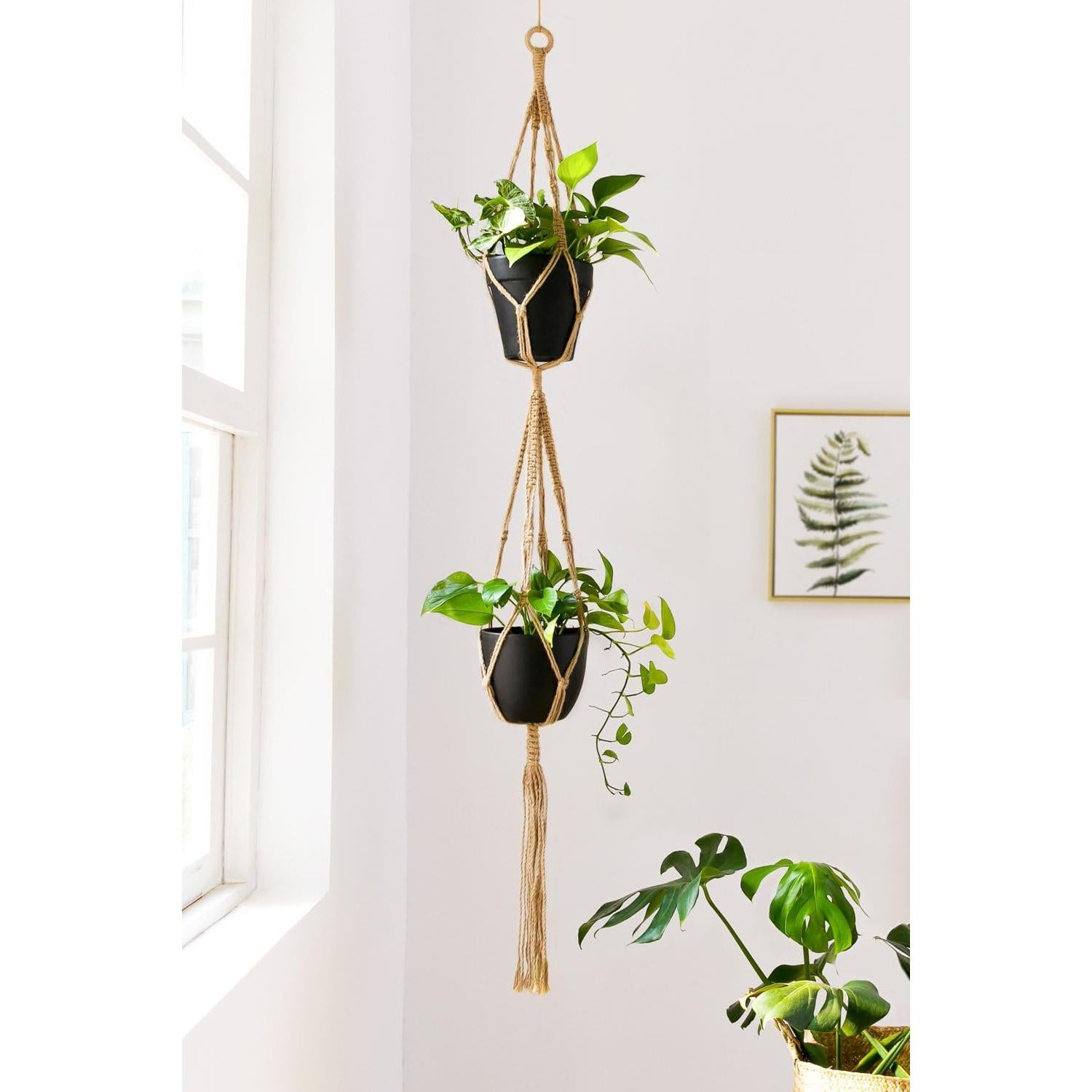 Conjunto de 4 colgadores de macramé Mkono para plantas 139.7 cm