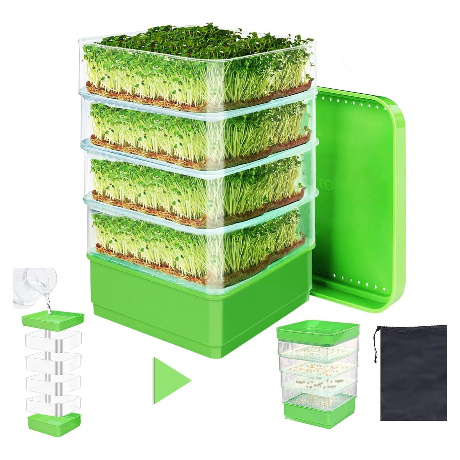 Kit de Germinación de Semillas PHAIN 4 Niveles Verde con Drenaje