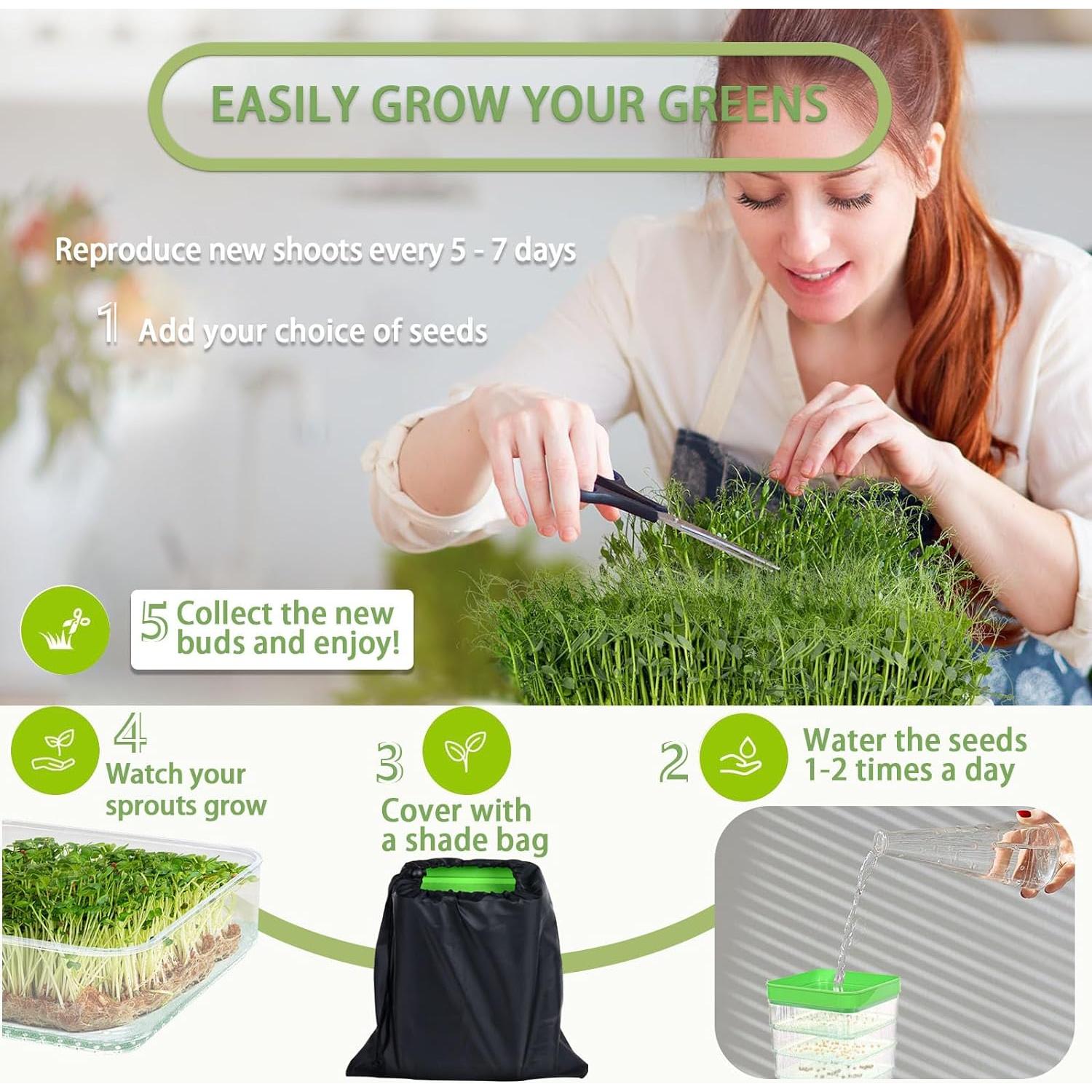 Kit de Germinación de Semillas PHAIN 4 Niveles Verde con Drenaje