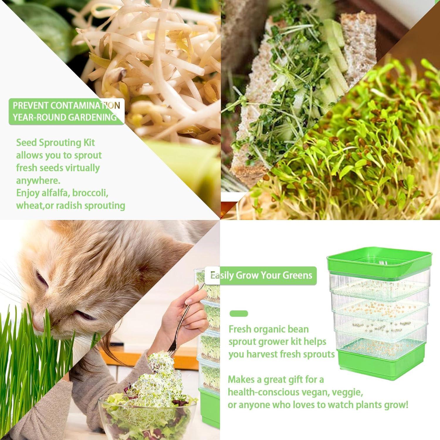 Kit de Germinación de Semillas PHAIN 4 Niveles Verde con Drenaje