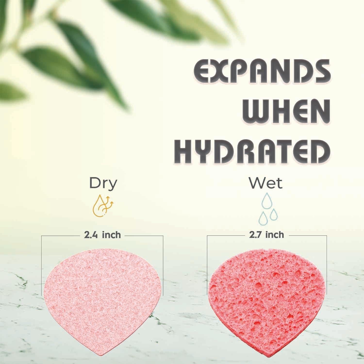 Esponjas Faciales Comprimidas GreenBoll 60 Unidades Naturales