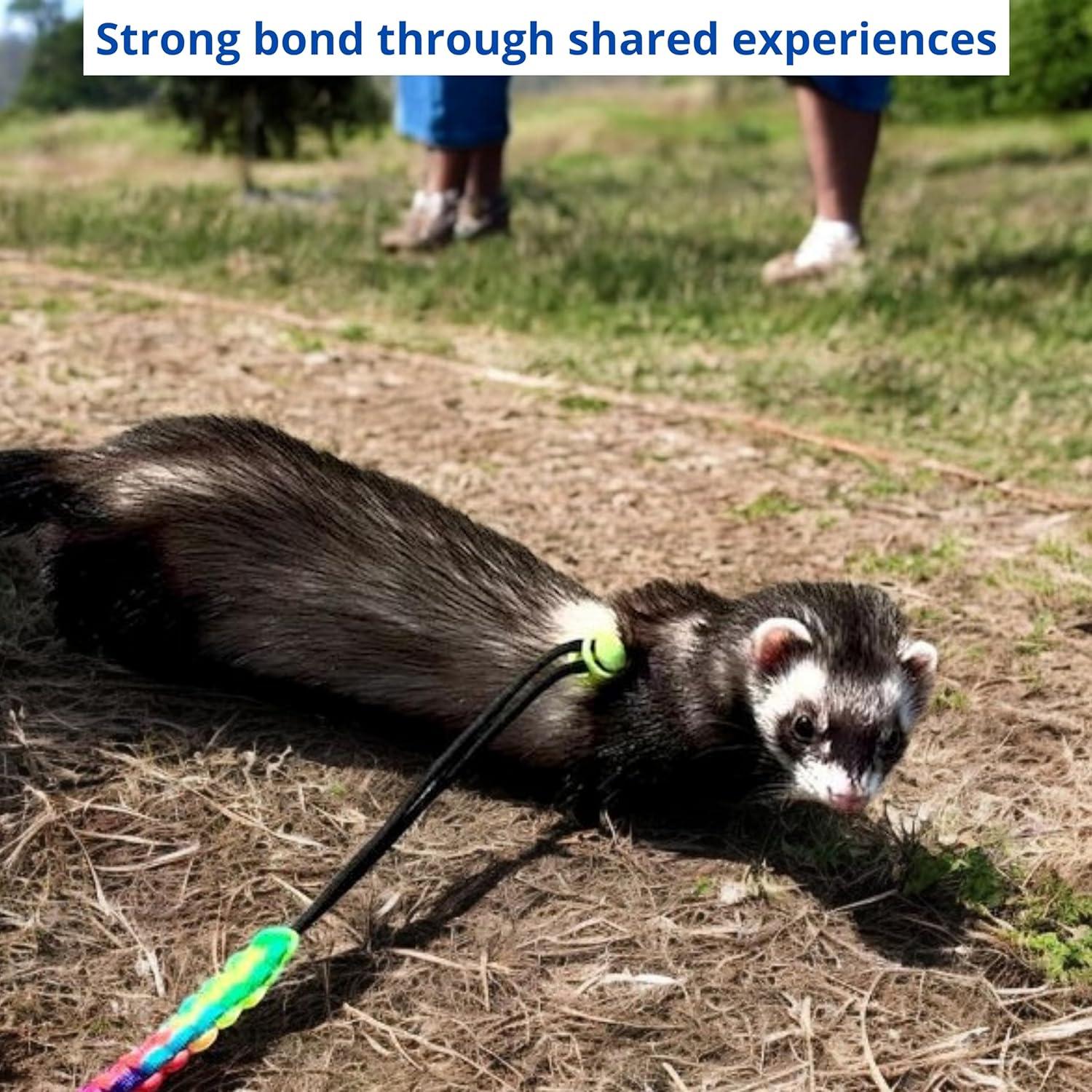 Arnés y Correa Ajustable para Hurones Homedy Azul