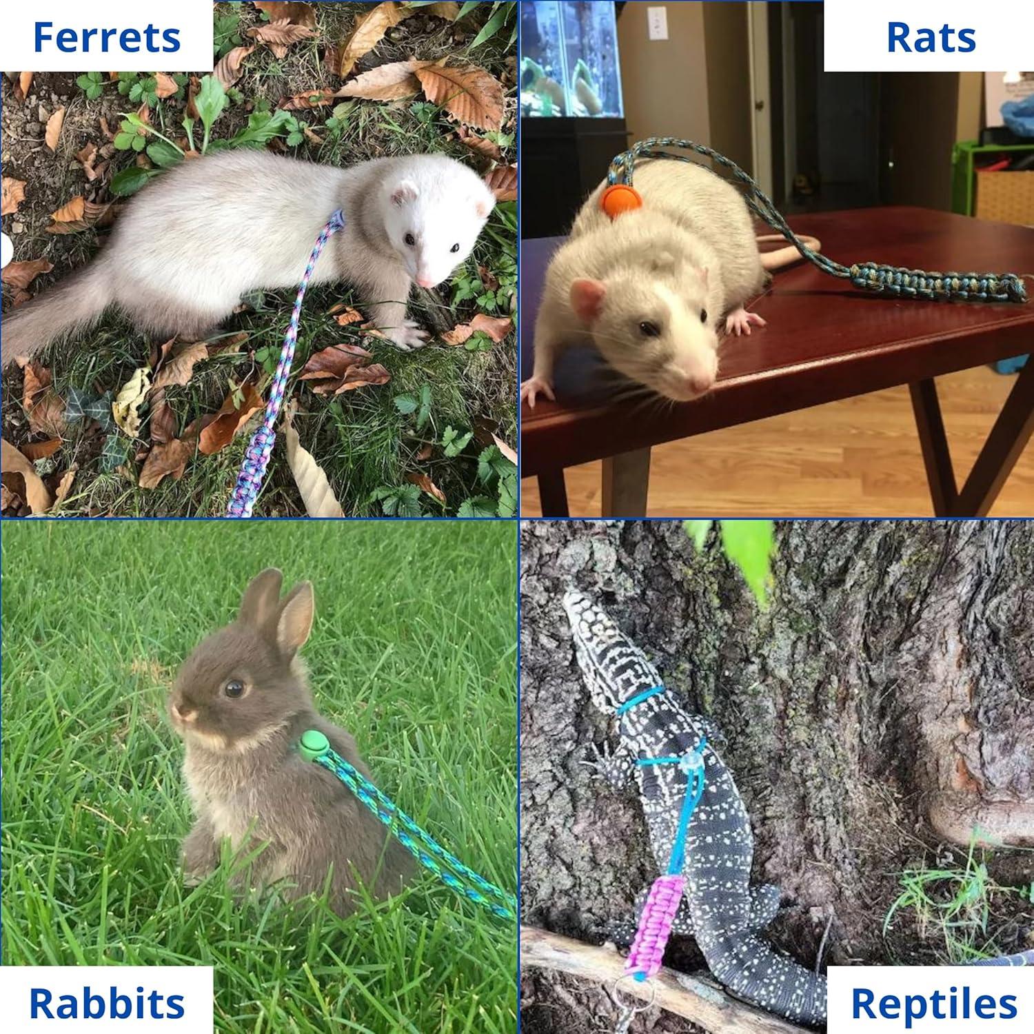 Arnés y Correa Ajustable para Hurones Homedy Azul