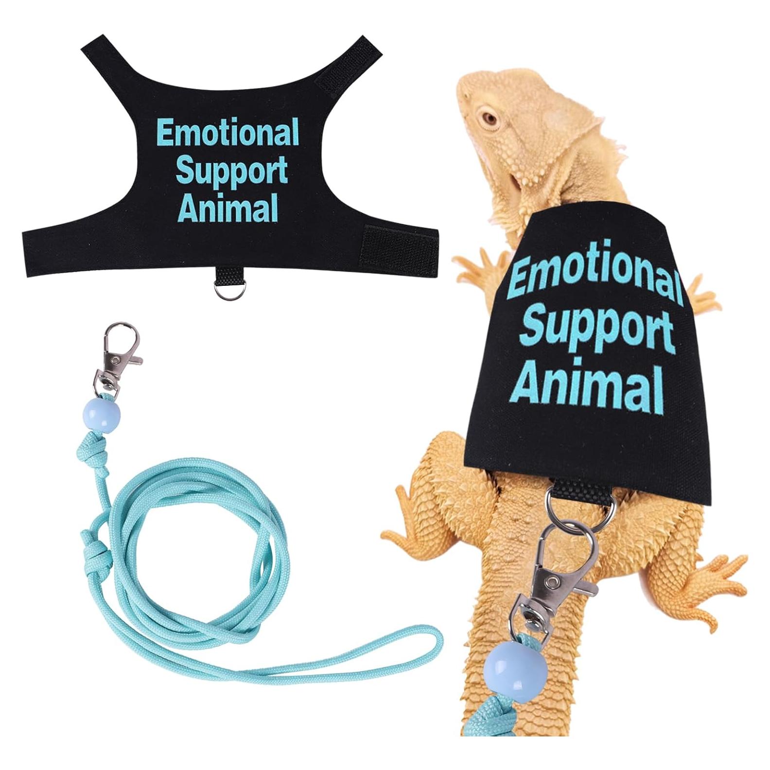 Conjunto Arnés y Correa Ajustable Fnaobai para Dragón Barbudo