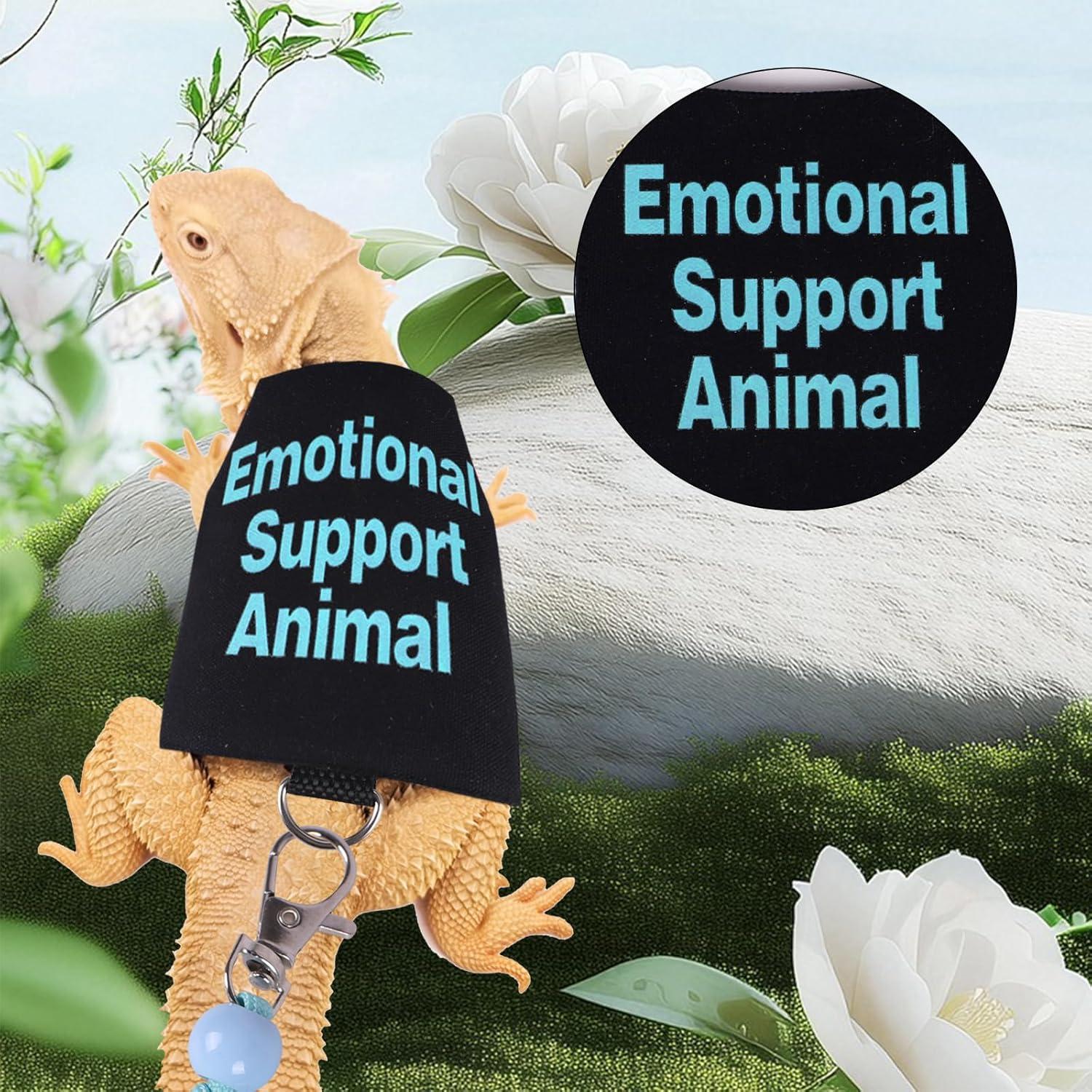 Conjunto Arnés y Correa Ajustable Fnaobai para Dragón Barbudo