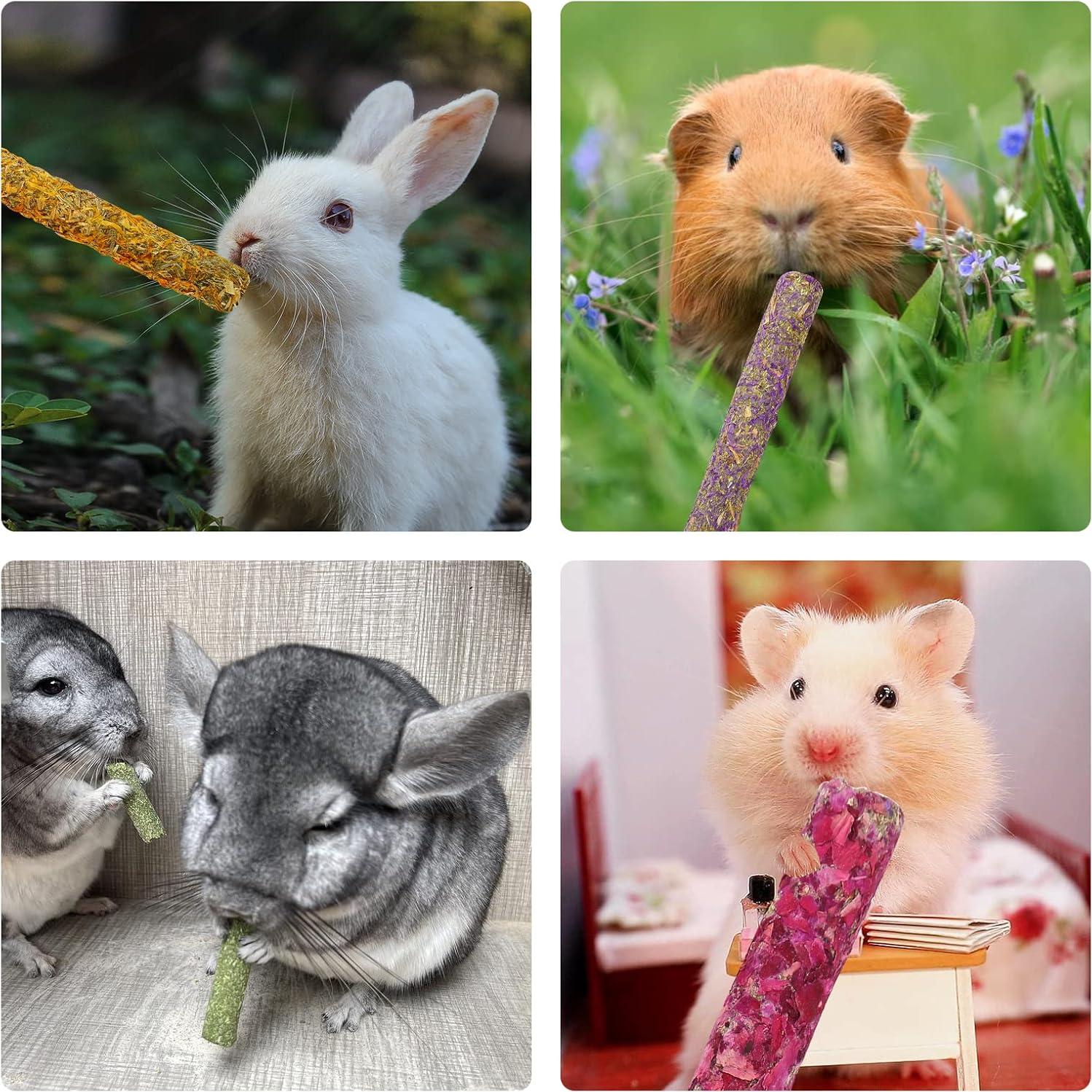 Juguetes de Masticar para Conejos PStarDMoon - 20 Palitos de Heno