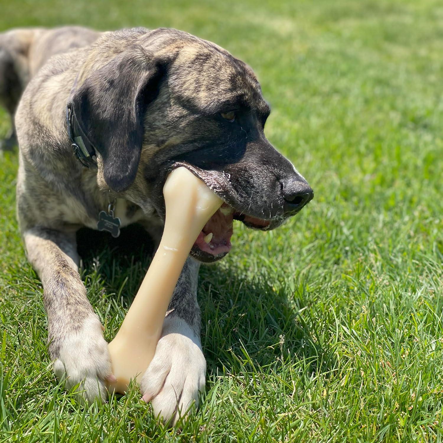 Juguete de Masticar Nylabone Power Chew Hueso XX-Large 22.68 kg